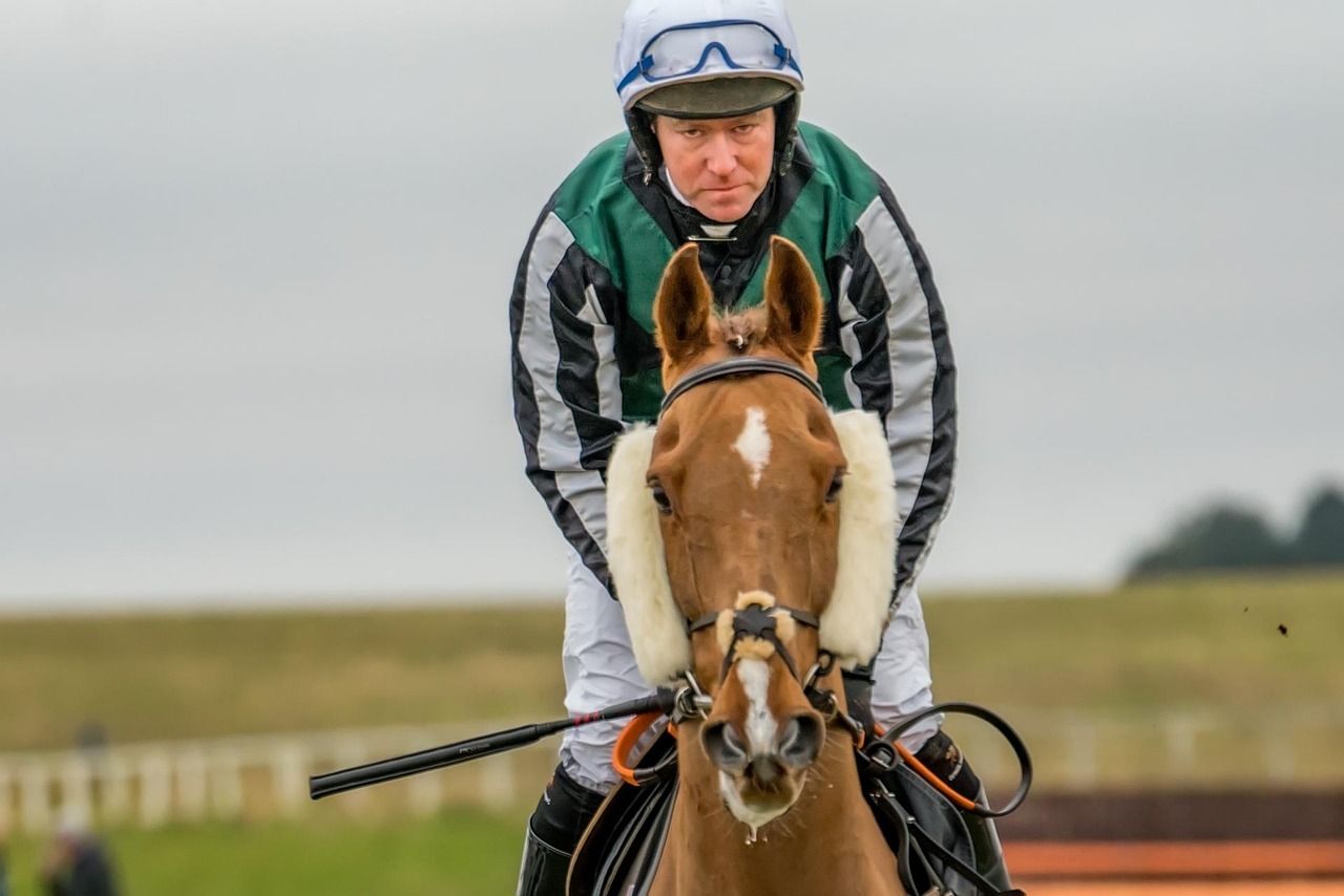 Steeplechase horse and jockey clearing a fence at speed