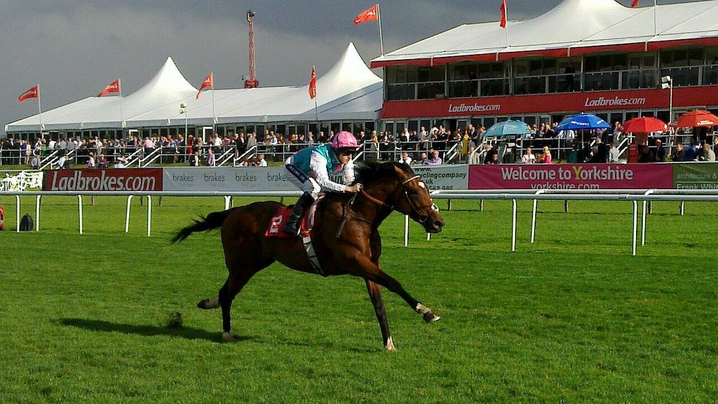 Frankel winning at Doncaster in September 2010, one of his fourteen unbeaten races