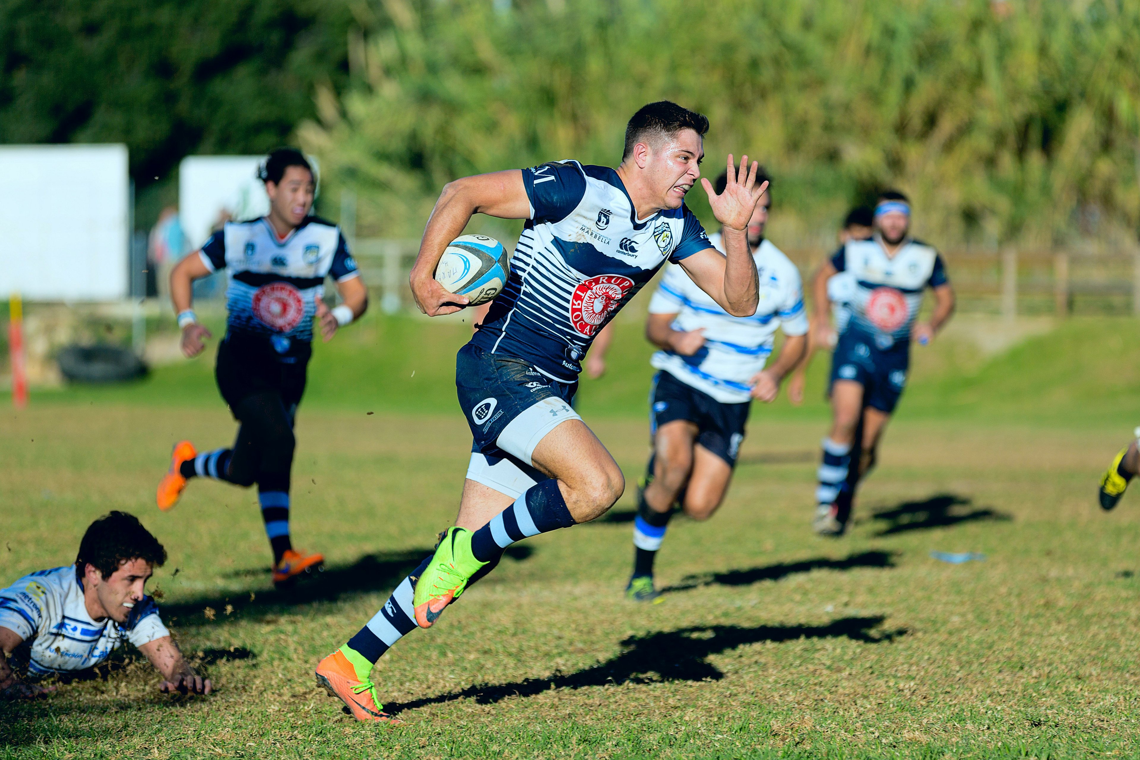 Players in a rugby match