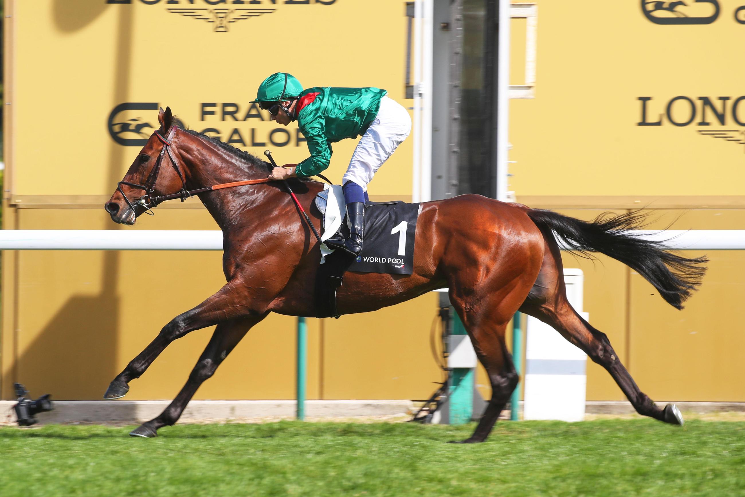 Jockey in colourful silks racing a thoroughbred horse