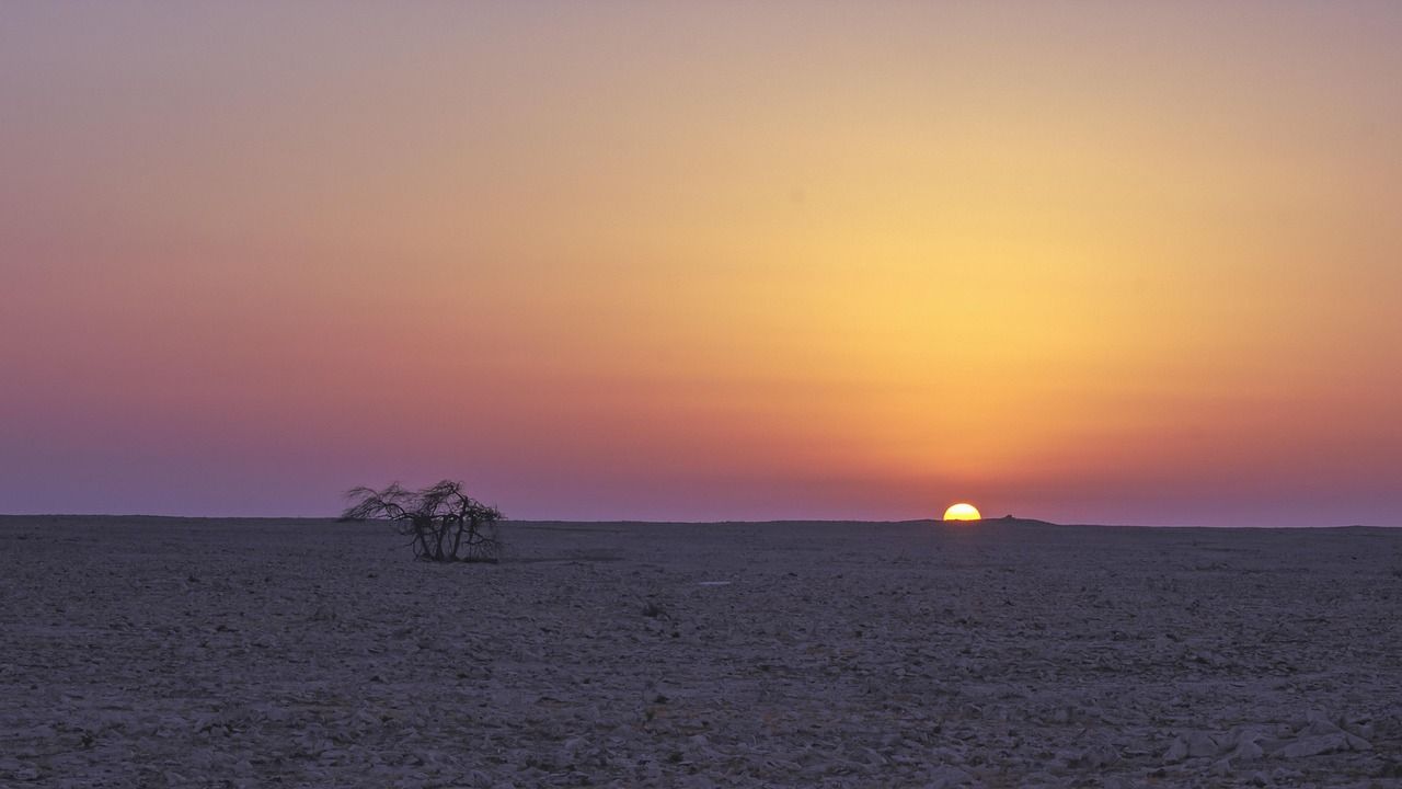 The Sakhir desert landscape in Bahrain where the circuit was built
