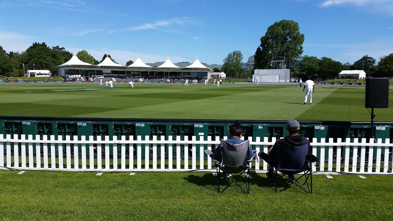 Cricket match in progress on a green field