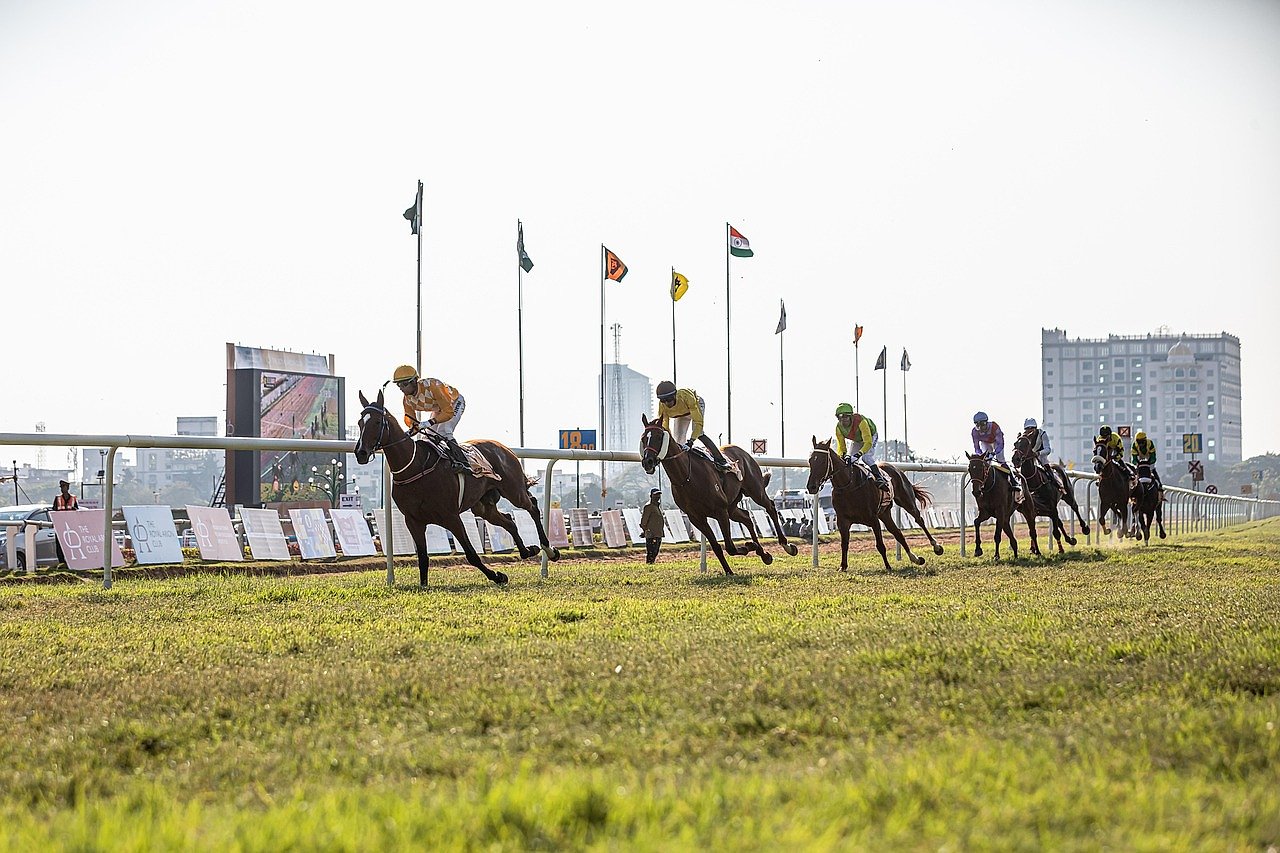 Jockey riding a racehorse at speed during a flat race