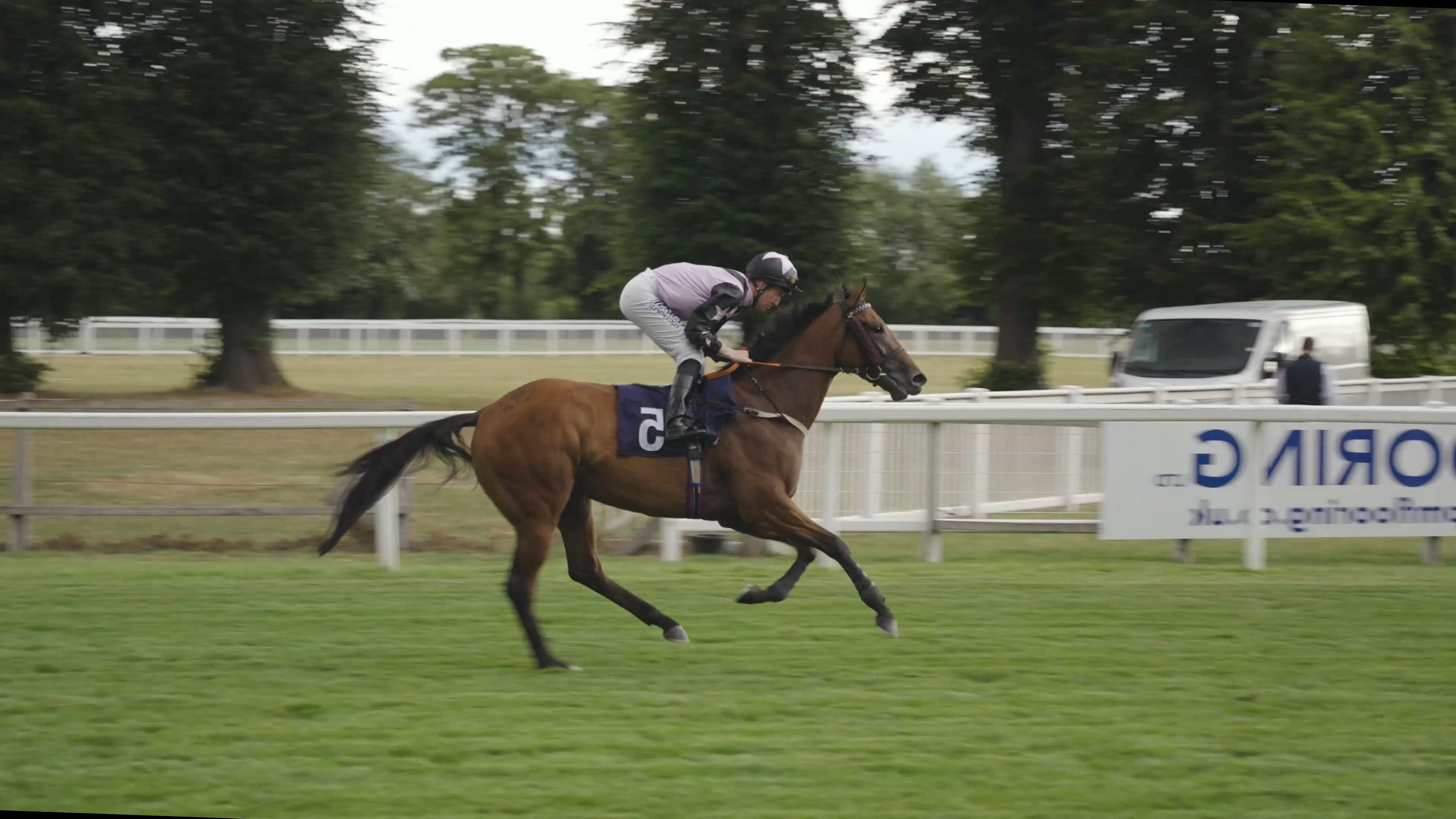 Royal Windsor Races