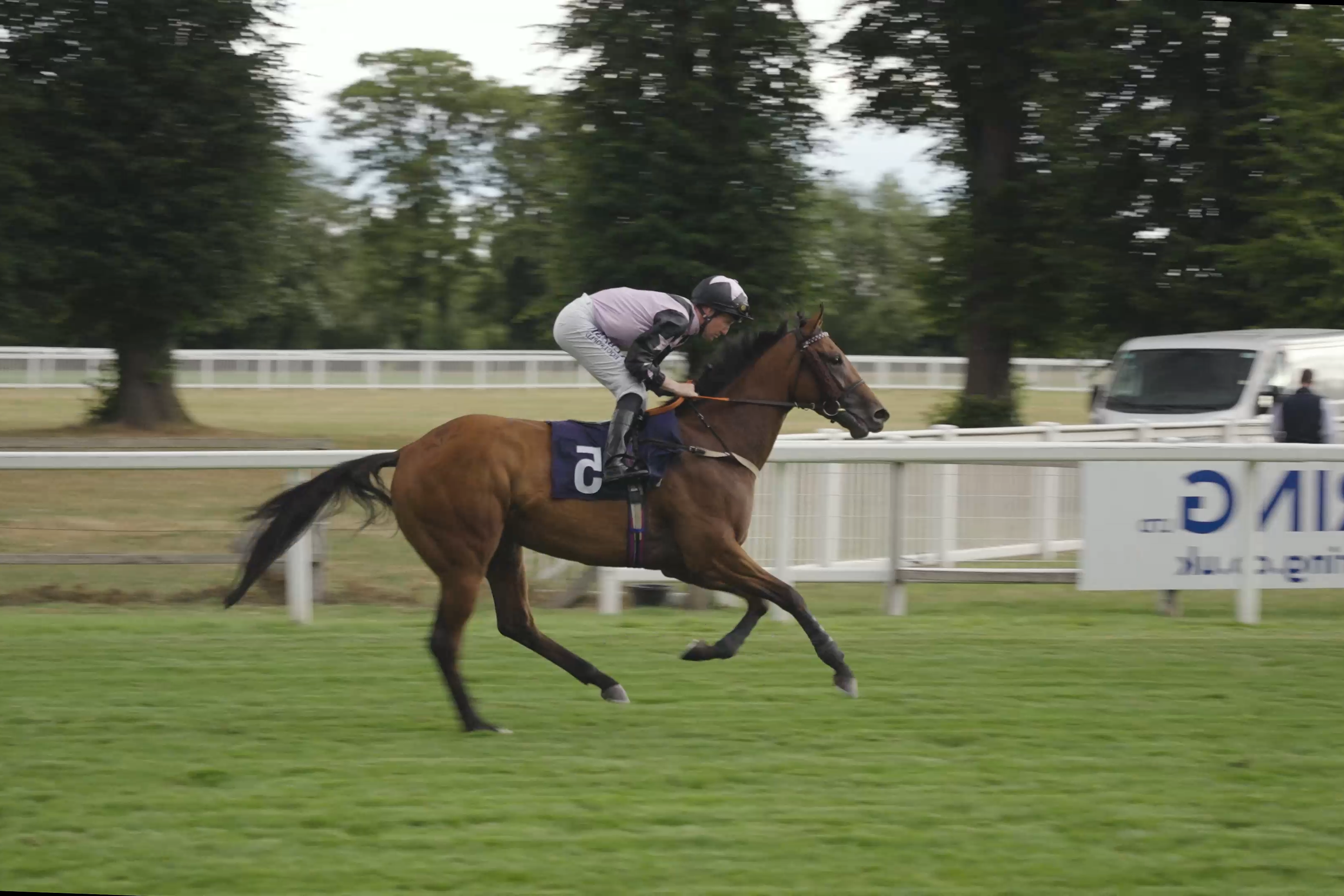 Royal Windsor Races