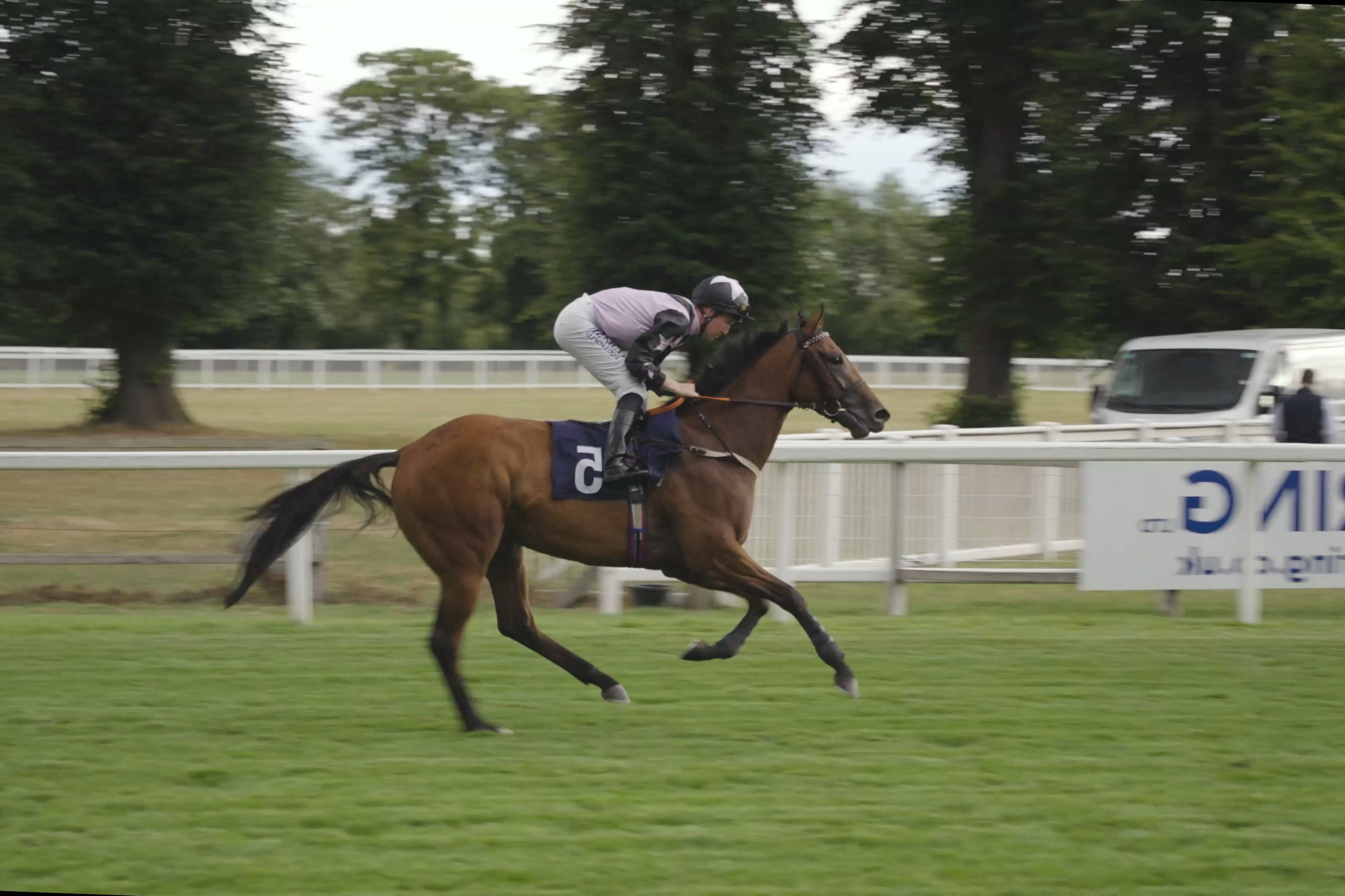 Royal Windsor Races