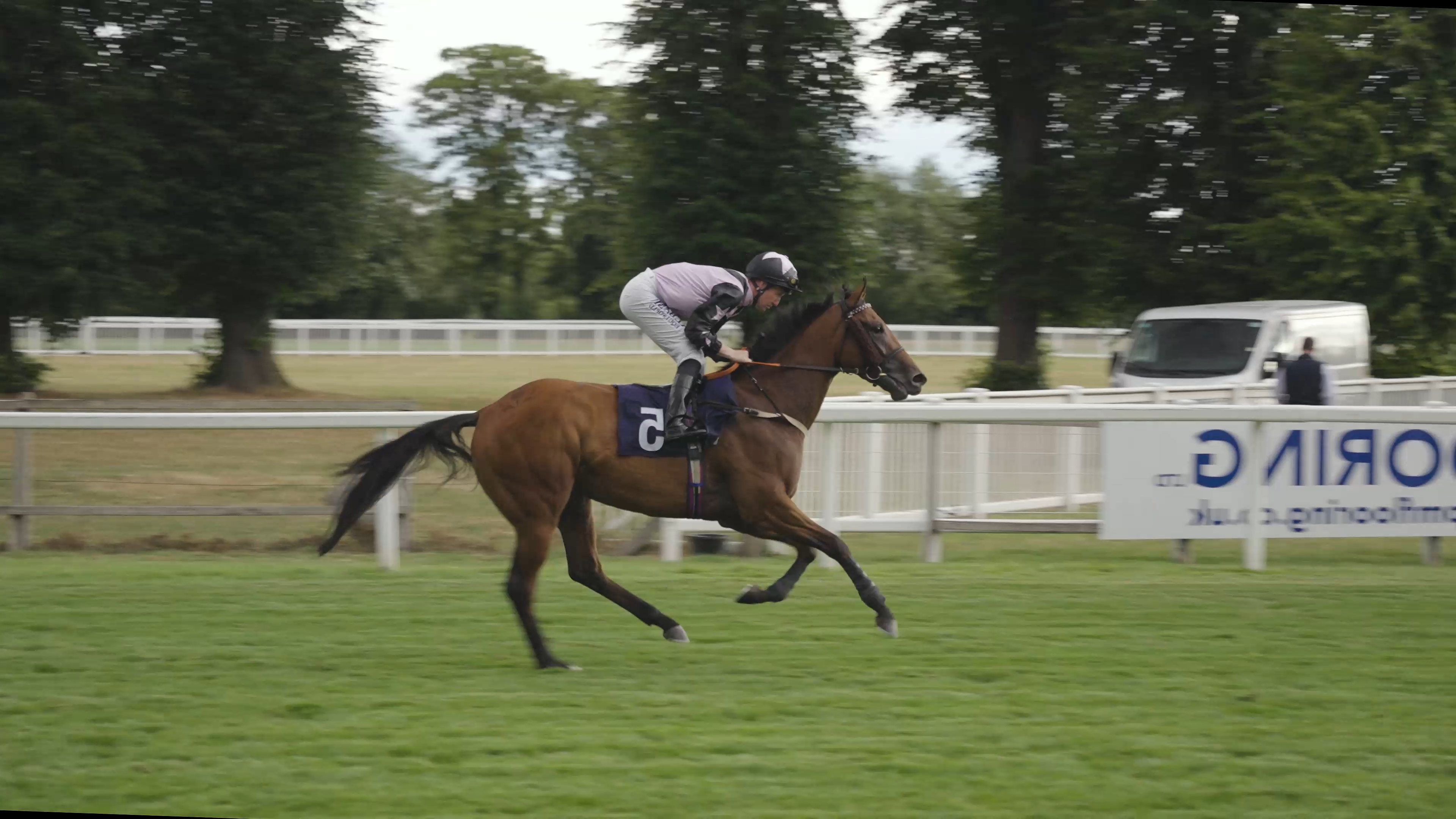Royal Windsor Races