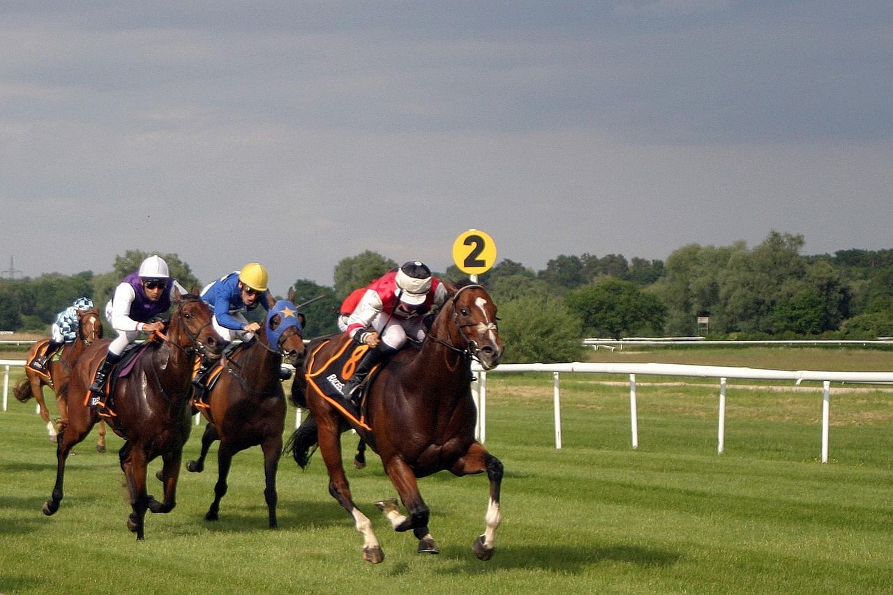 Horses in a close finish during a steeplechase race