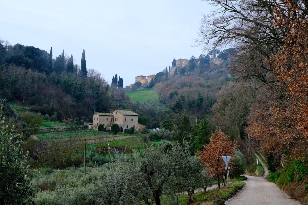 The rolling hills of Tuscany, birthplace of Andrea Bocelli