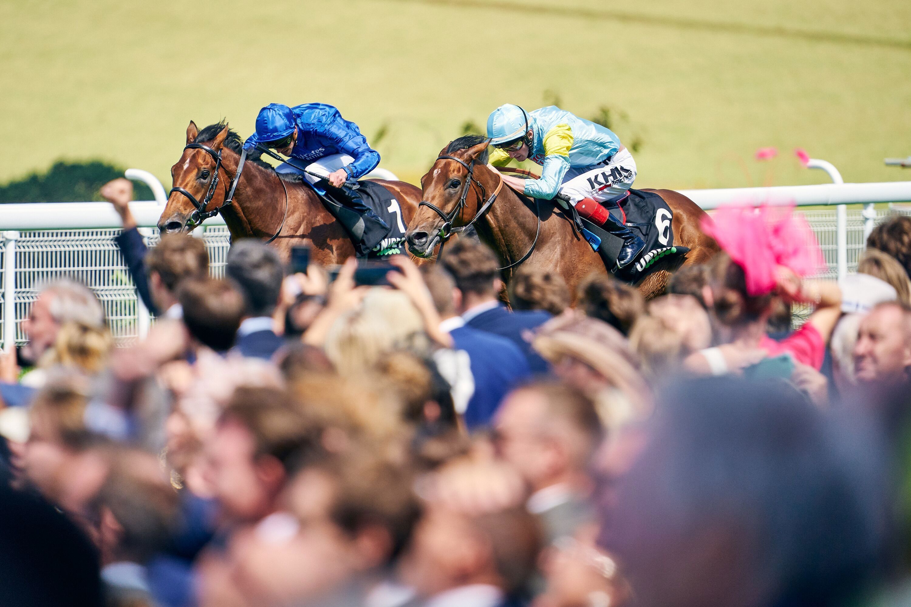 Horse and jockey at full gallop during a flat race