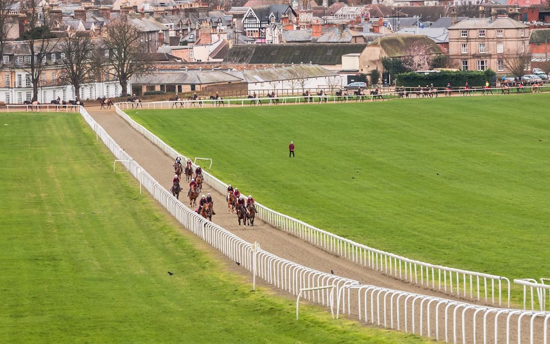 String of racehorses training on turf gallops