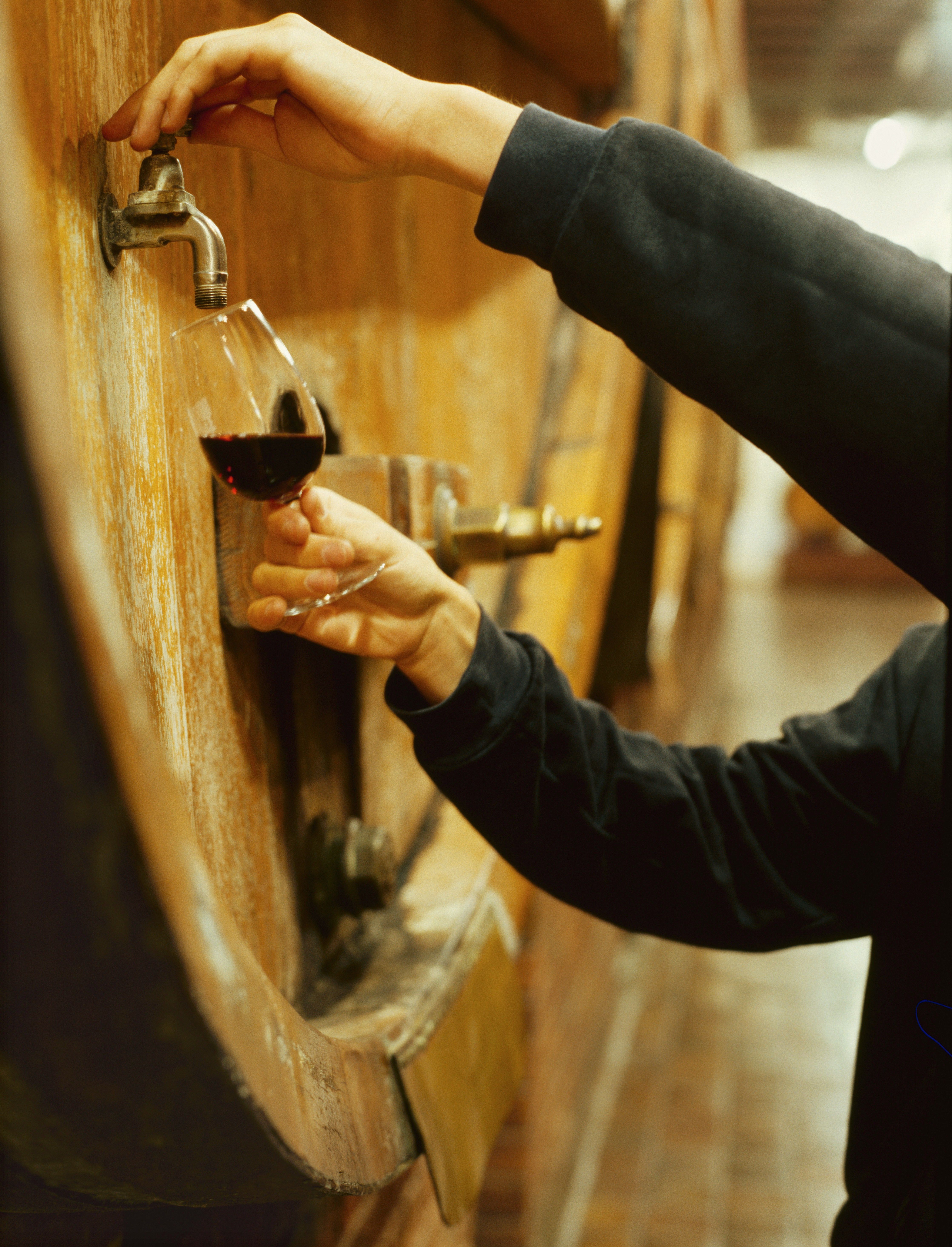 Bordeaux wine tour