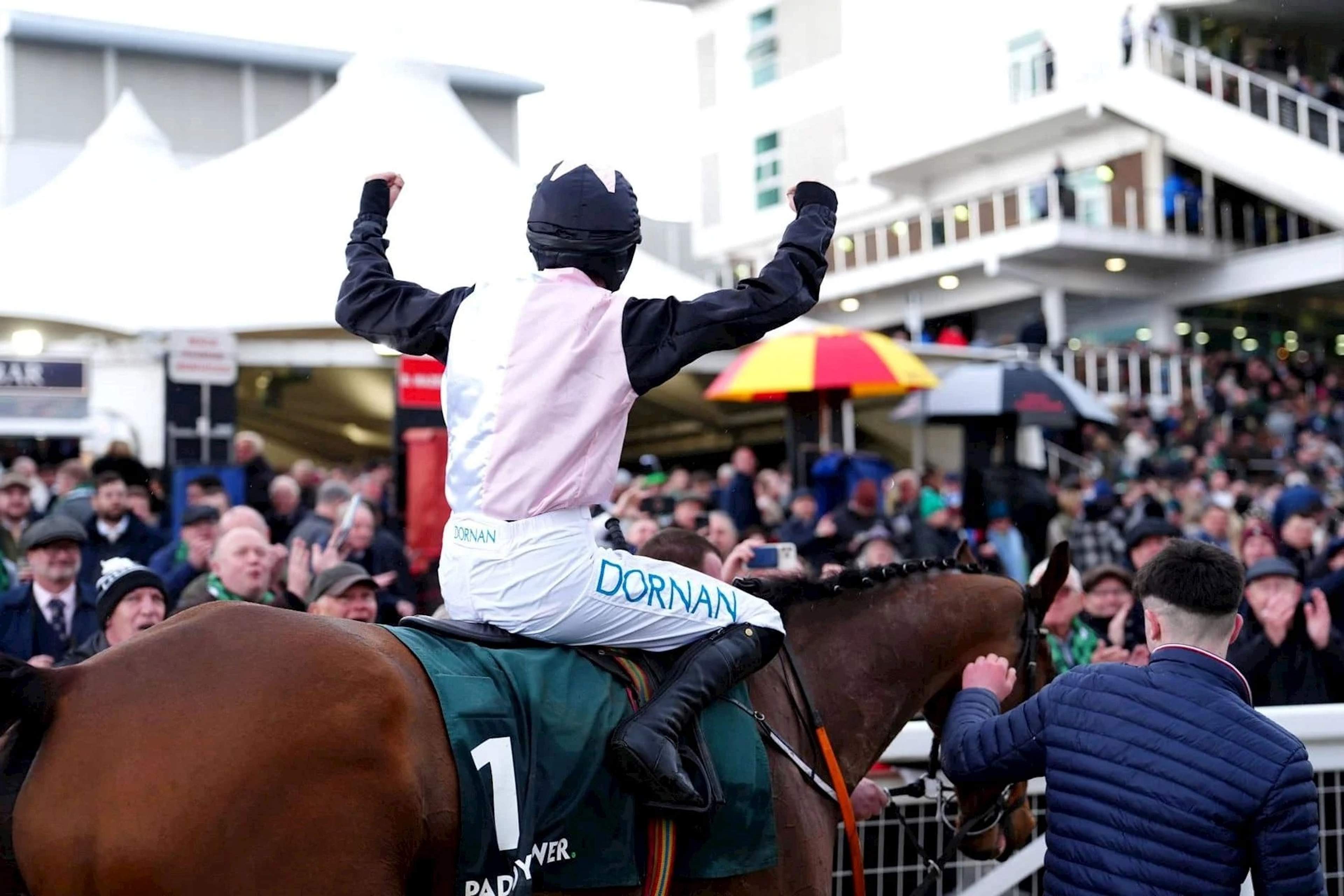 The Cheltenham Racecourse grandstand on a Festival race day