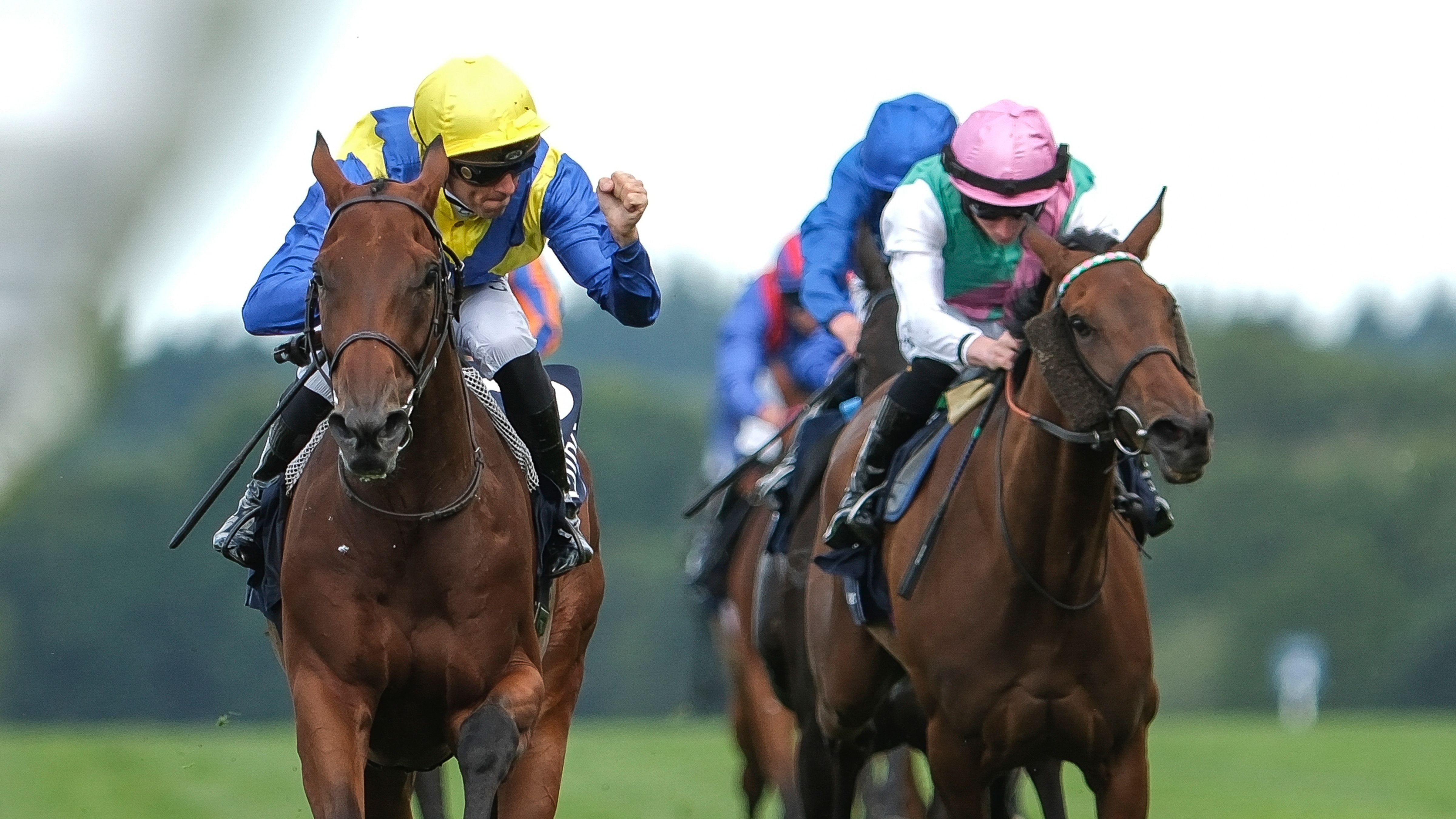 Crowds at Ascot Racecourse on a busy raceday