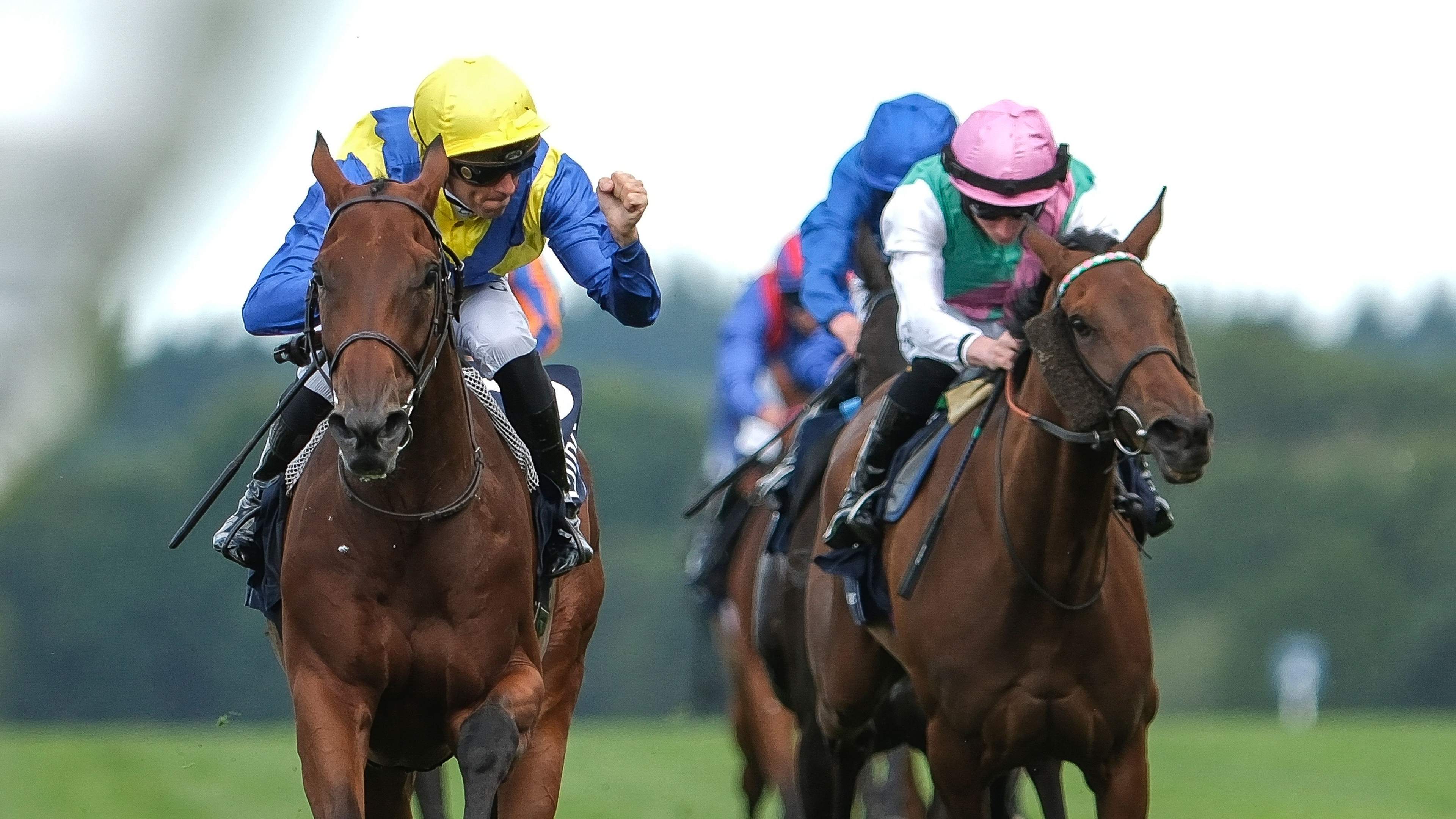 Crowds at Ascot Racecourse on a busy raceday