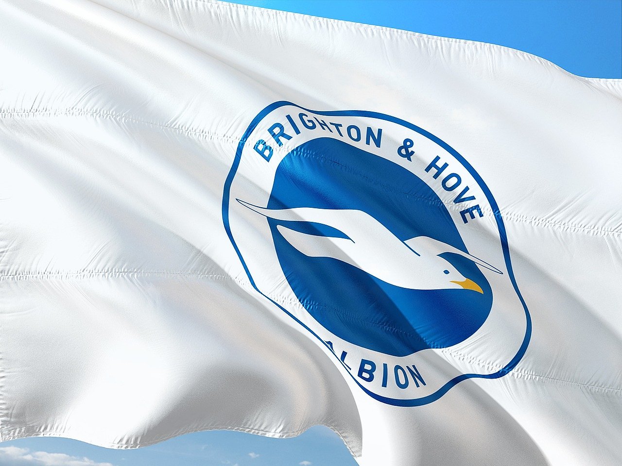 Brighton and Hove Albion flag at a Premier League match