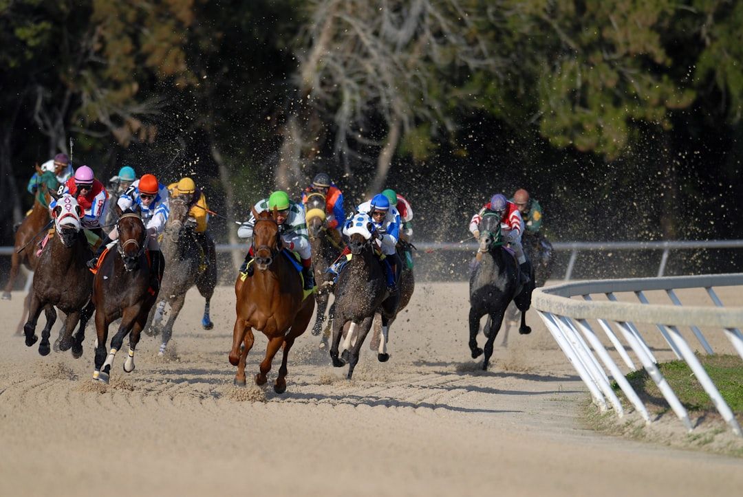 Thoroughbred racehorses competing at full gallop on a flat course