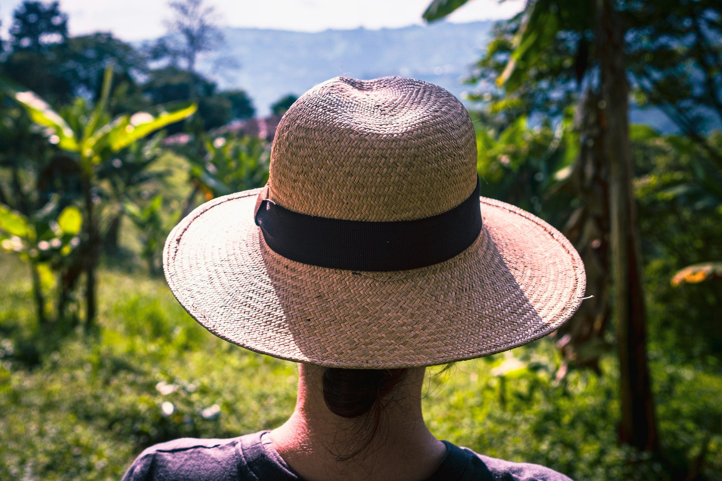 Glorious Goodwood scenes (a woman wearing a straw hat in a field)