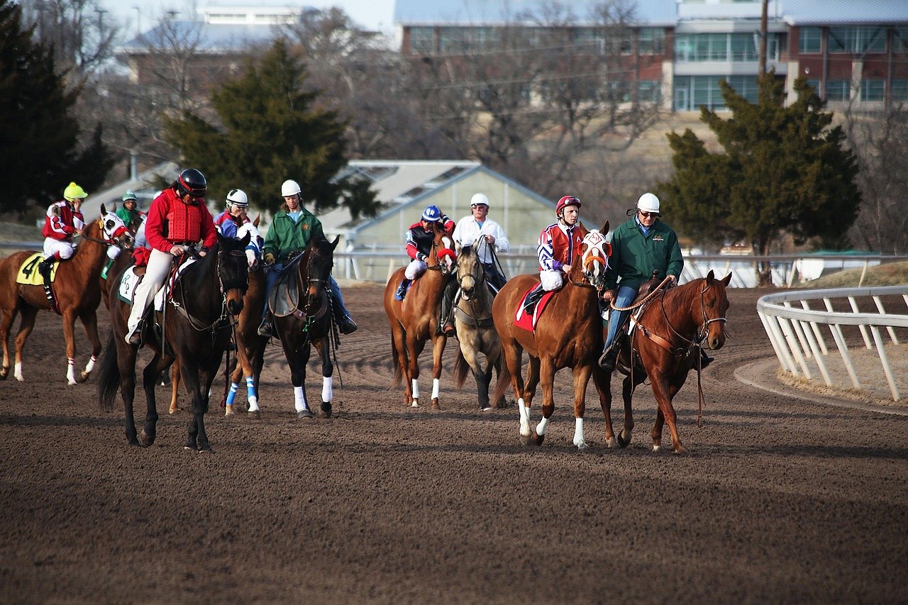 A large field of racehorses galloping together on the track