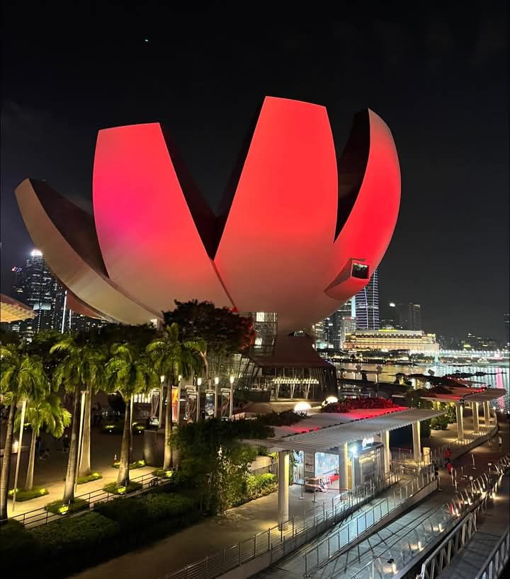 F1's first night race, since 2008