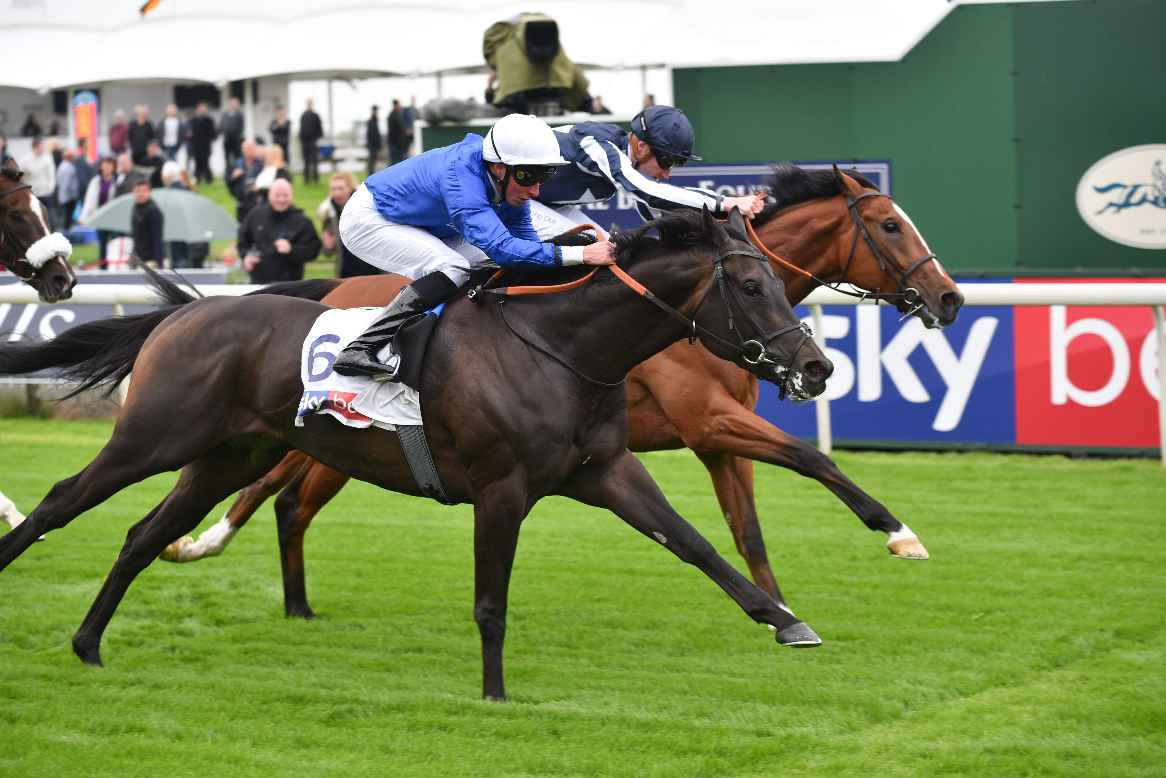 Horses running at Ebor Festival