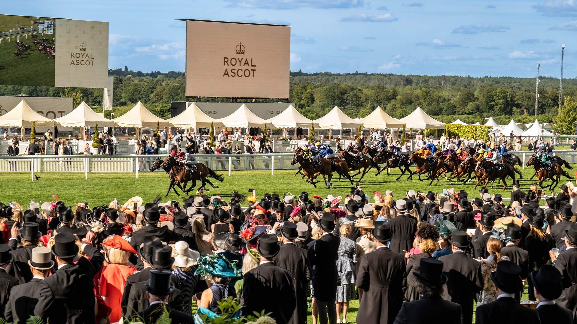 View of the race at Royal Ascot