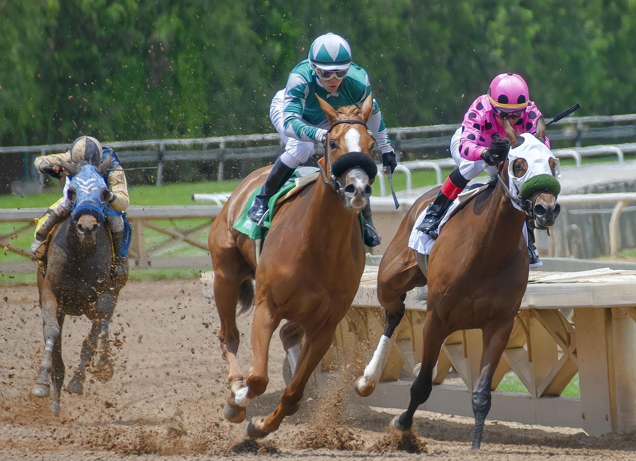 Jockeys racing in a tightly packed field of horses