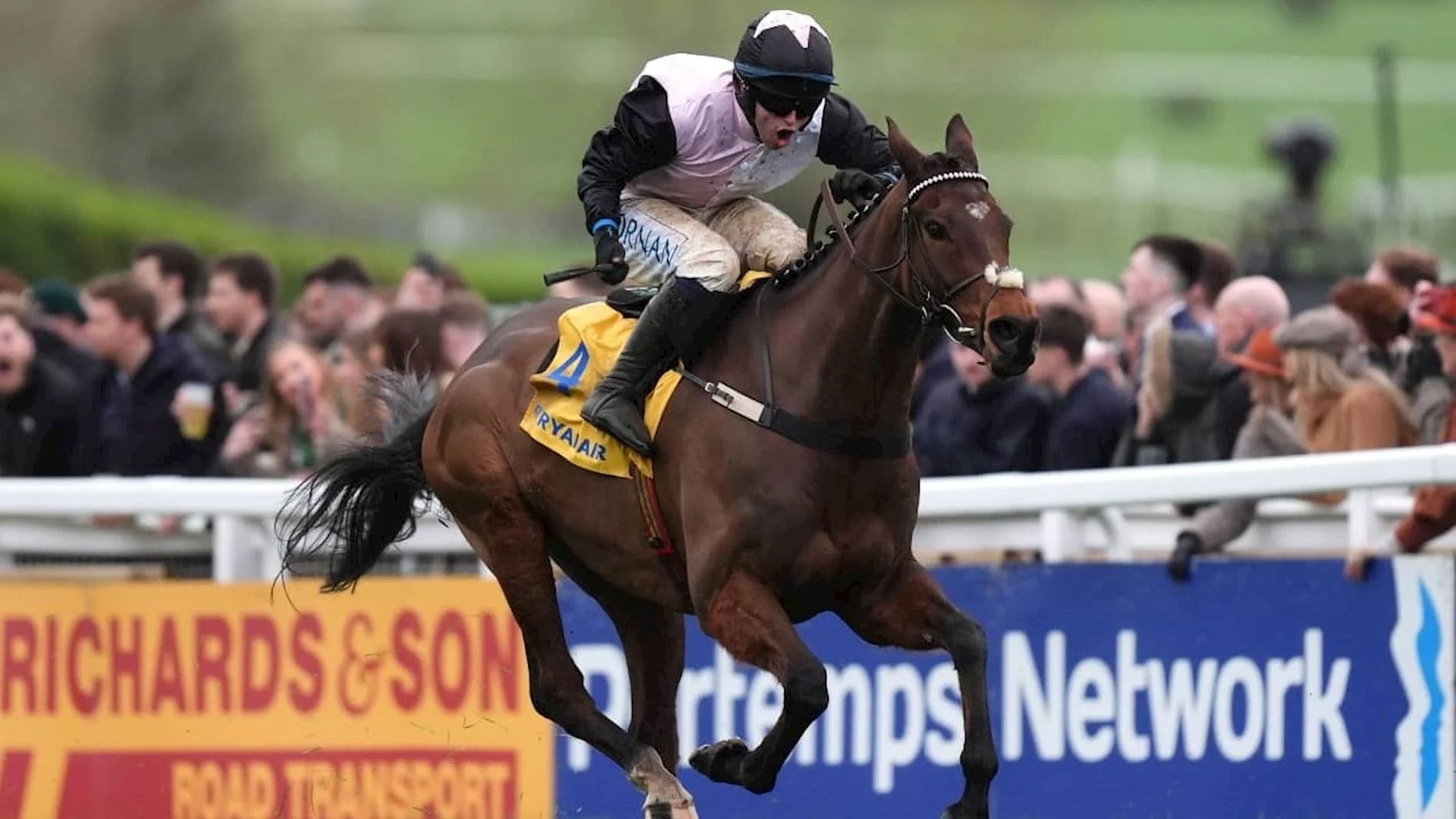Close-up of a jockey riding at speed, representing the intensity of the Champion Chase