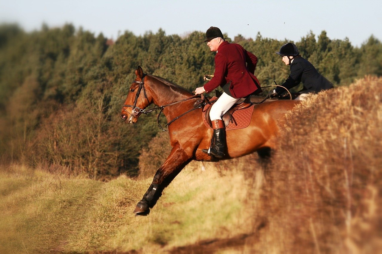 Horse and jockey jumping a steeplechase fence