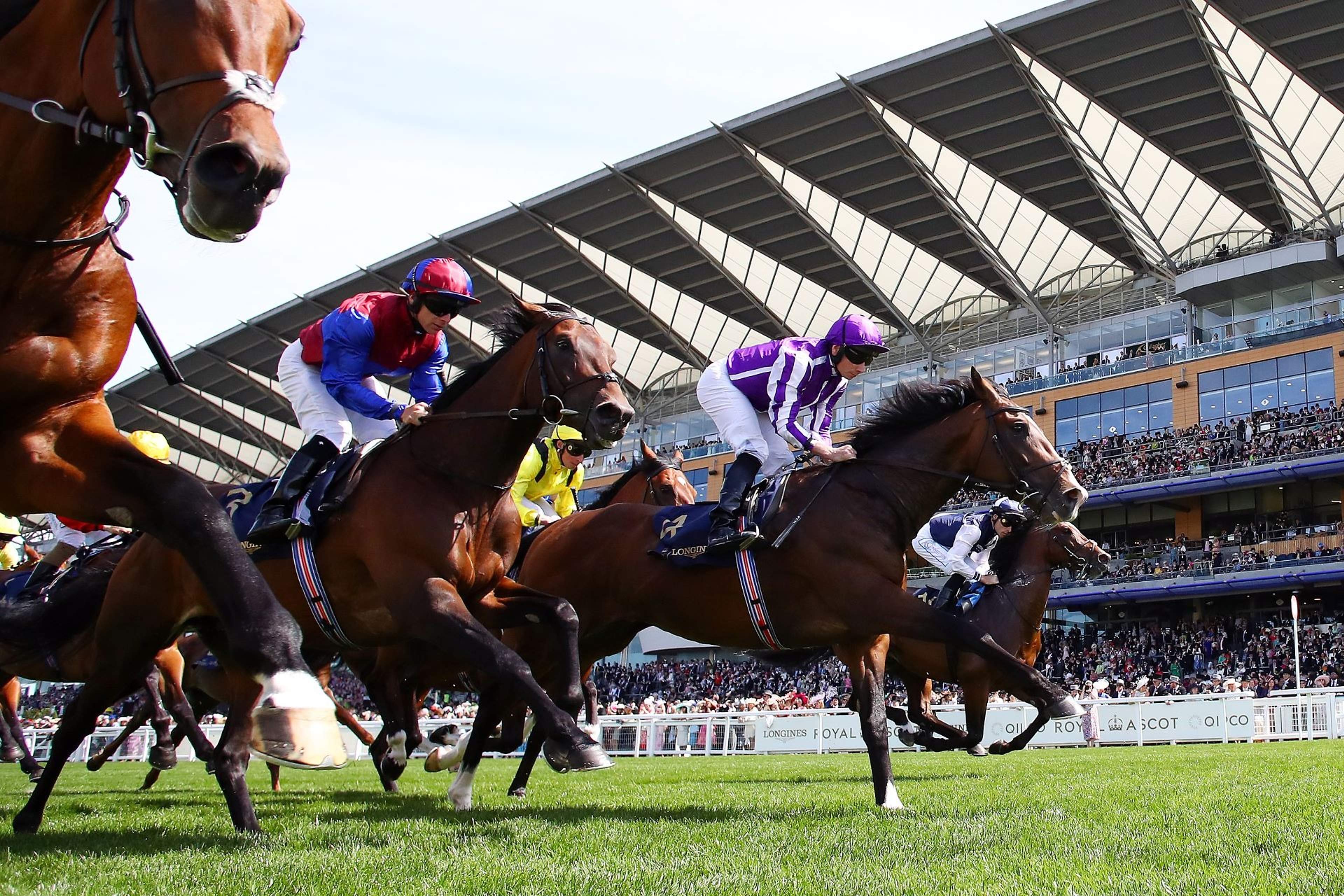Eight Group 1 races across the 5 days