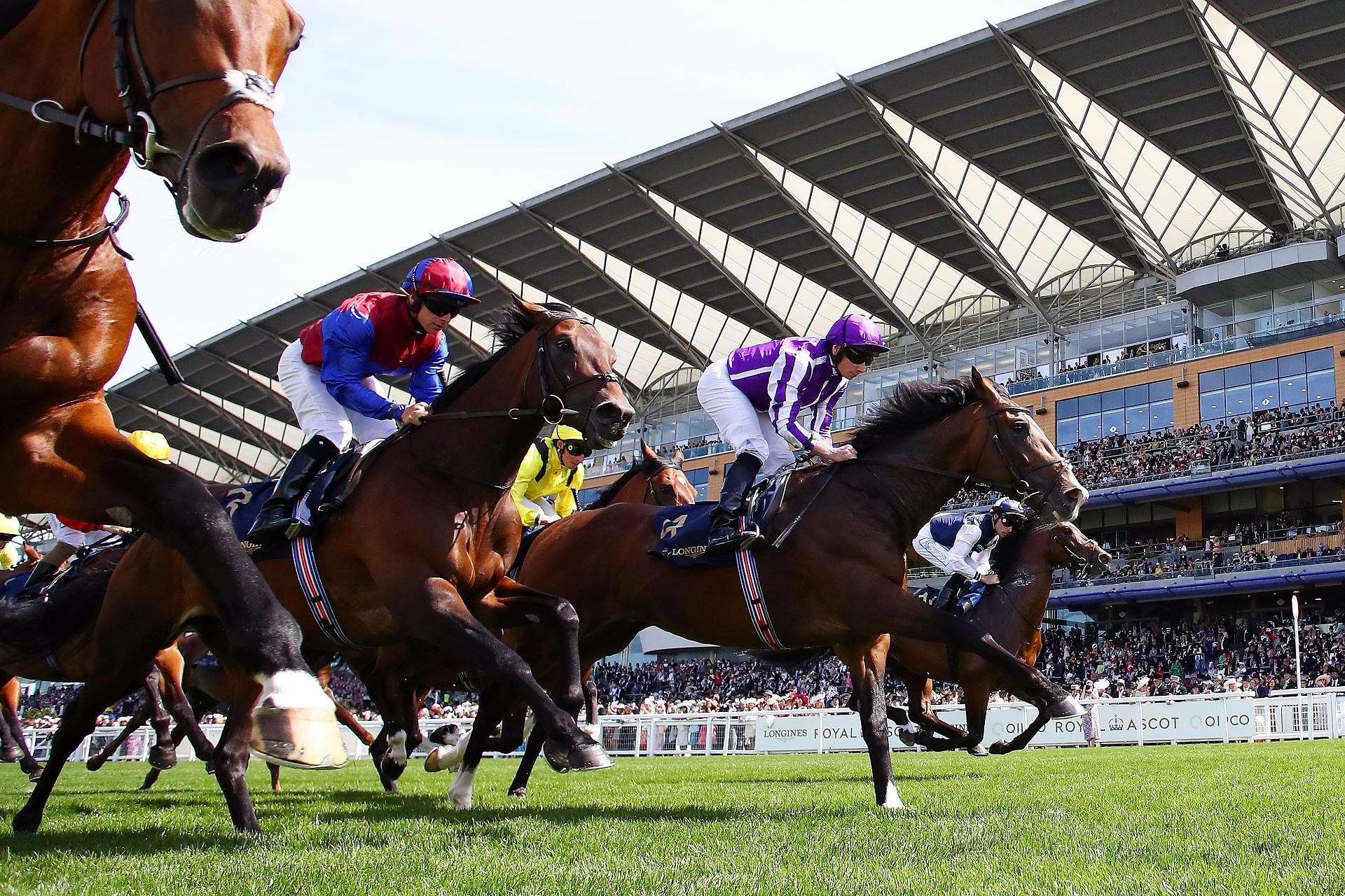 Racing action at Ascot Racecourse