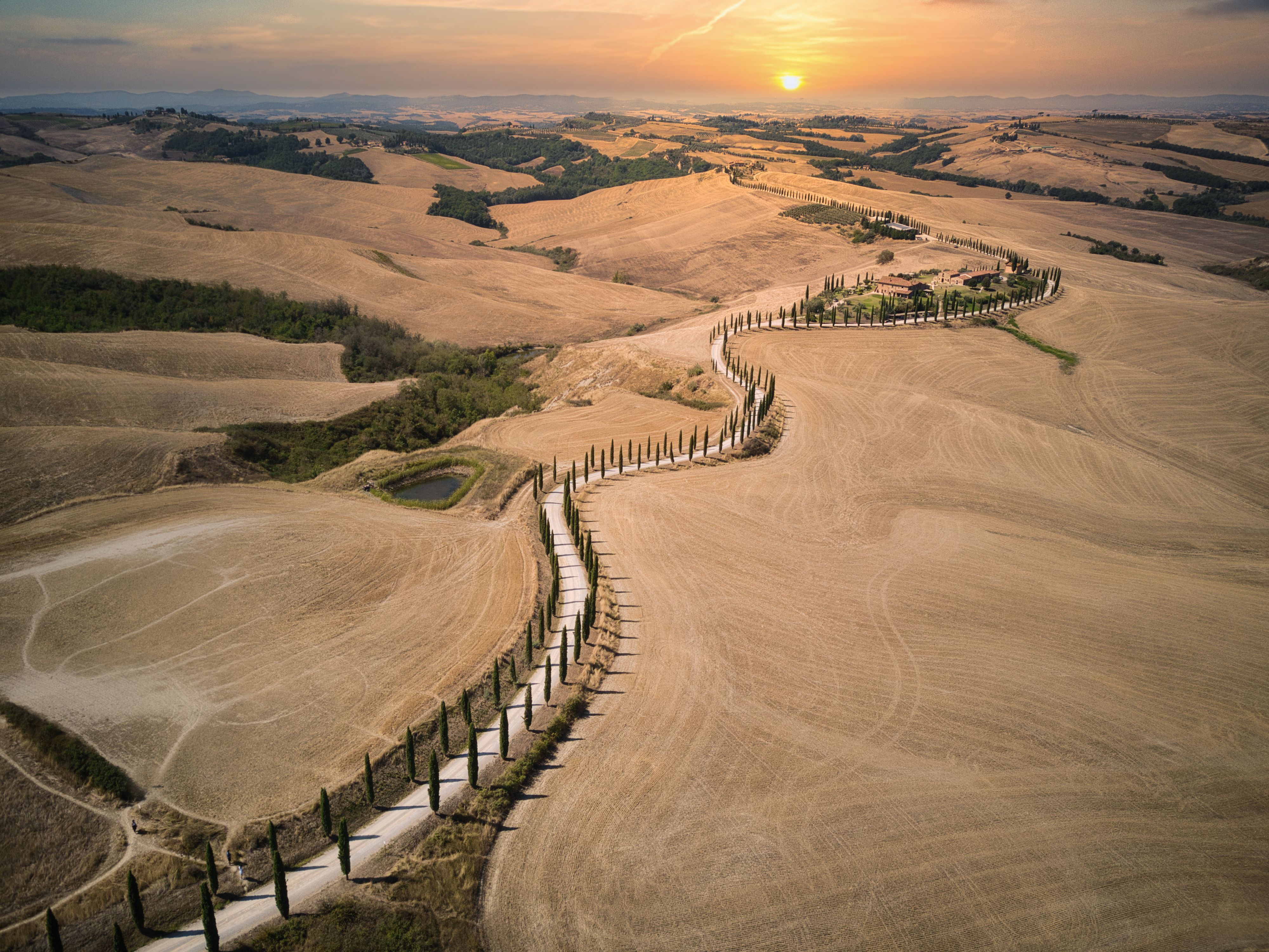 A white road lined with cypress trees winding through the Tuscan hills at sunset