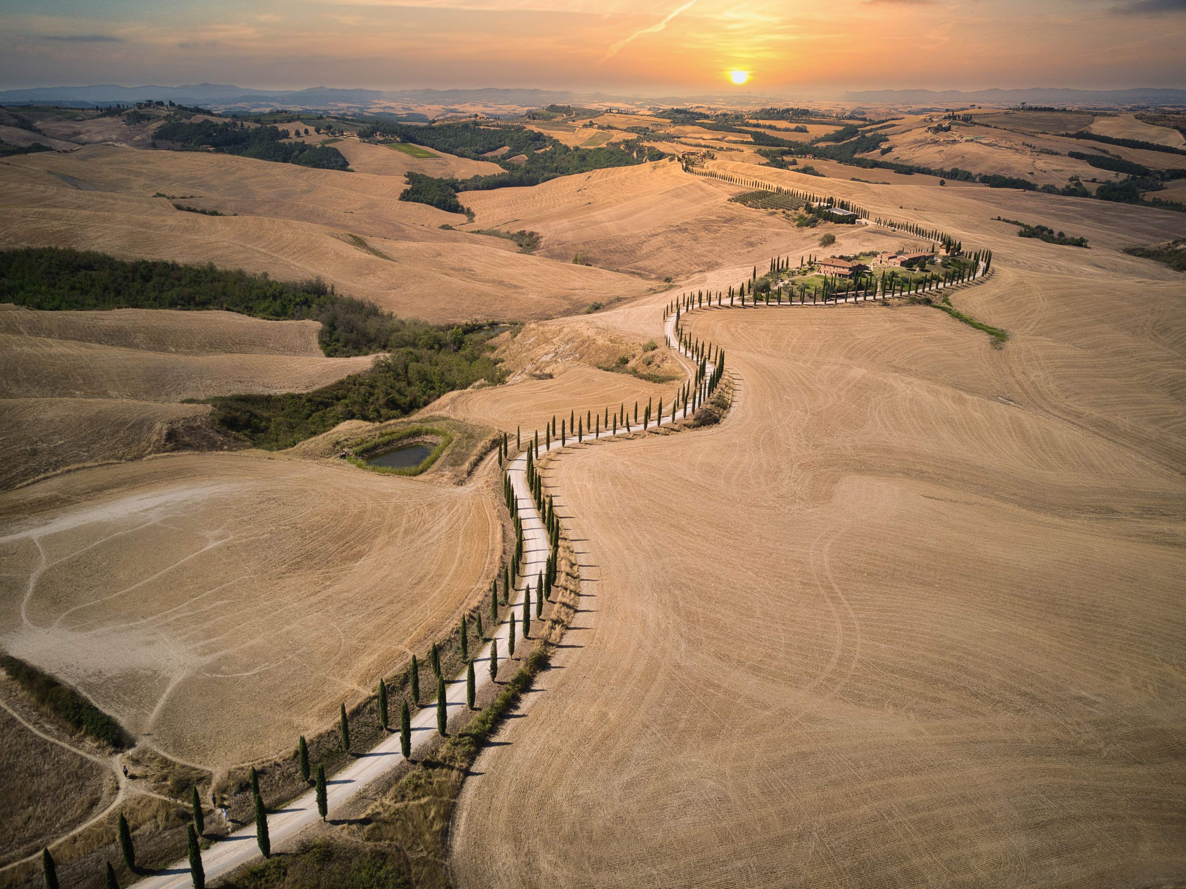 A white road lined with cypress trees winding through the Tuscan hills at sunset