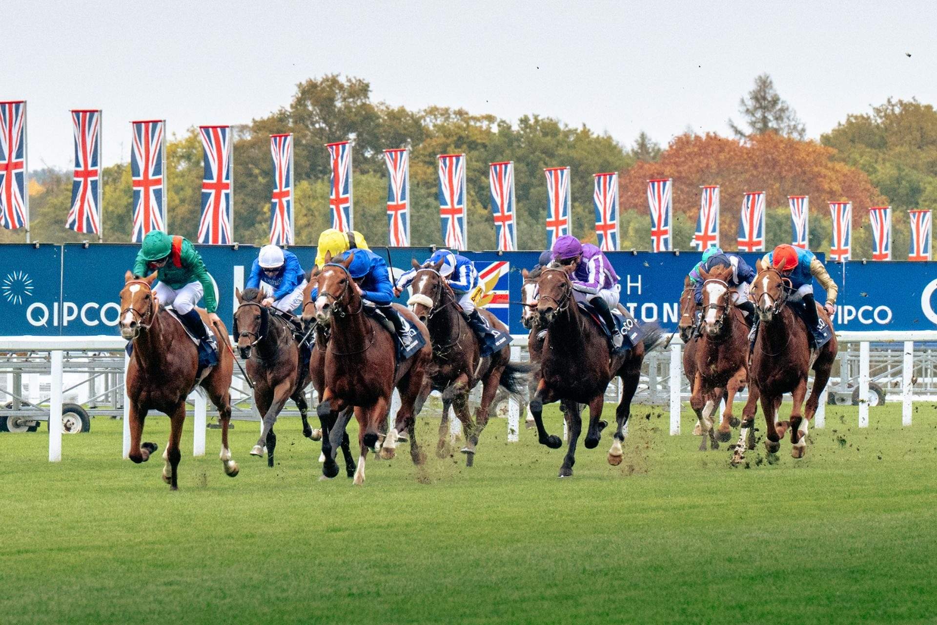 Champions Day race