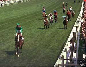 Shergar 1981