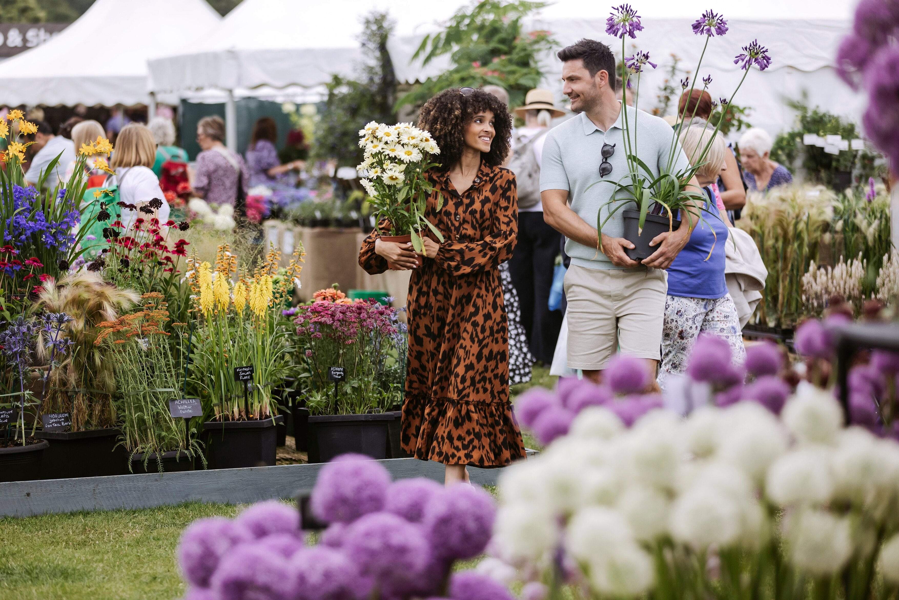 A greenhouse filled with purple and white flower displays, evoking the Great Marquee interior