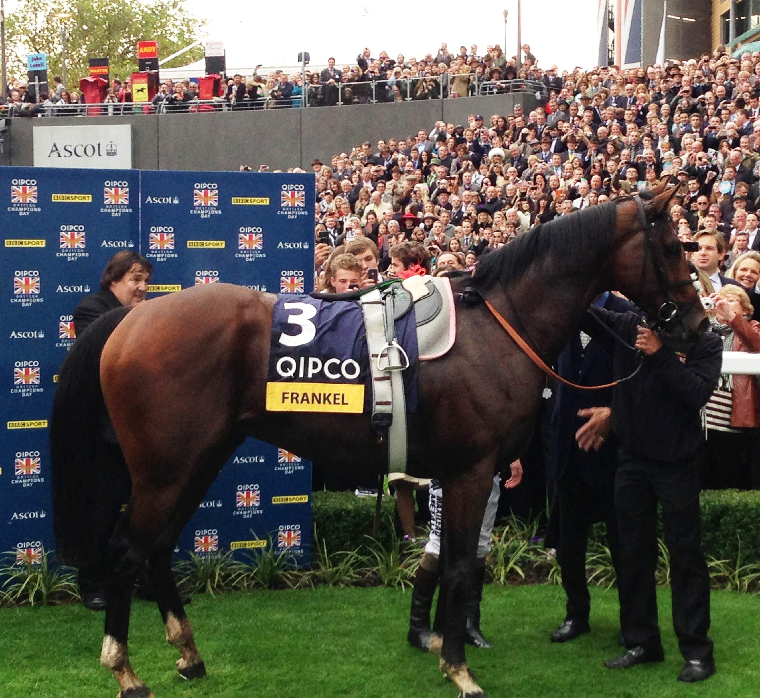 Frankel in the winners' enclosure at Ascot after winning his final race, the Champion Stakes