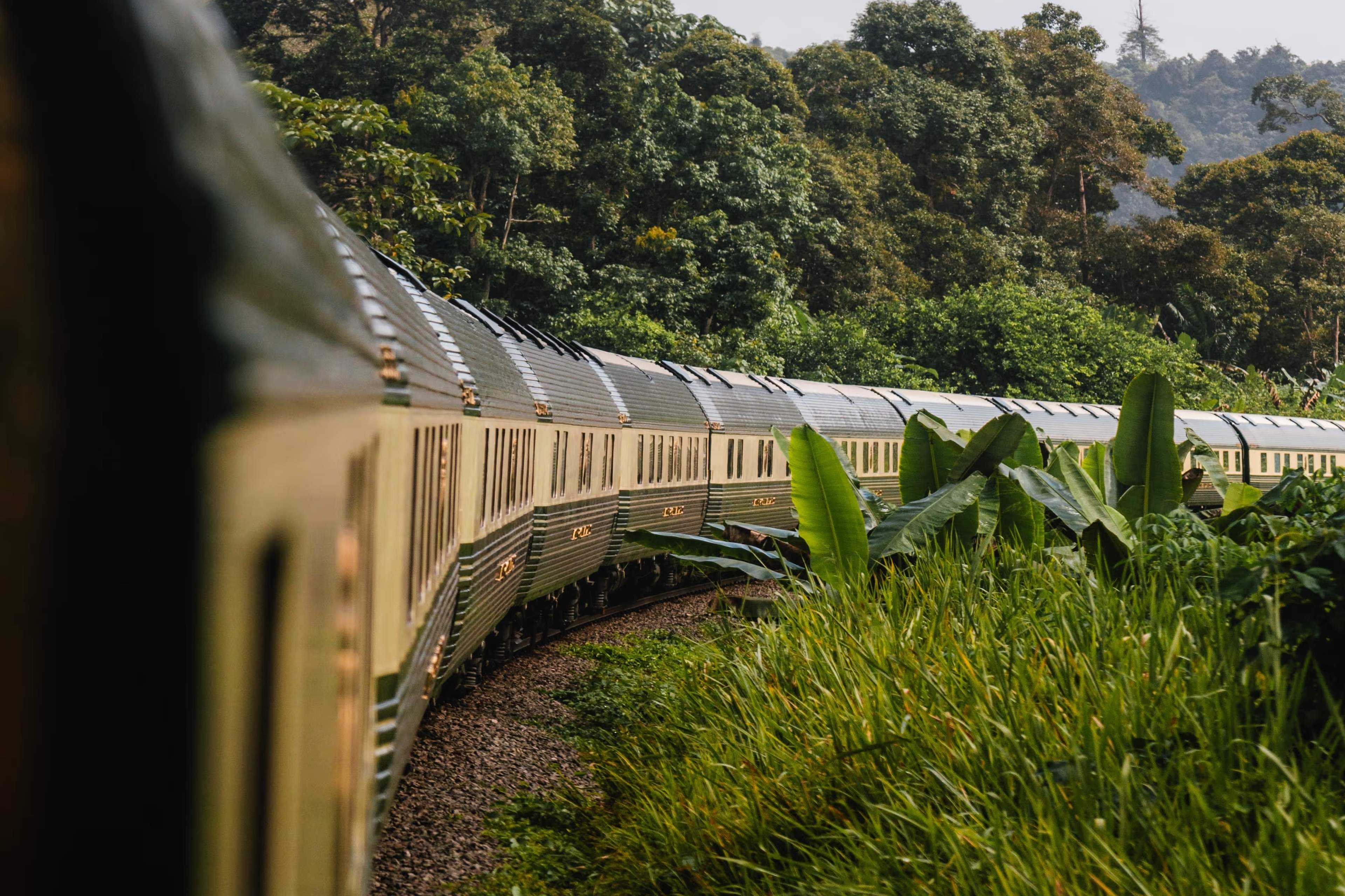The cream and green carriages of the Eastern & Oriental Express curving through jungle in Malaysia.