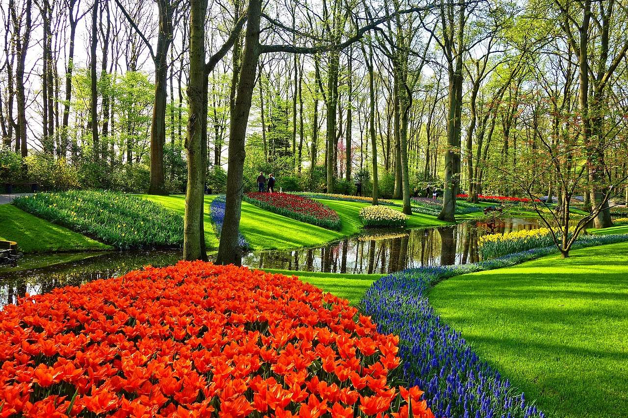 The history of Chelsea Flower Show