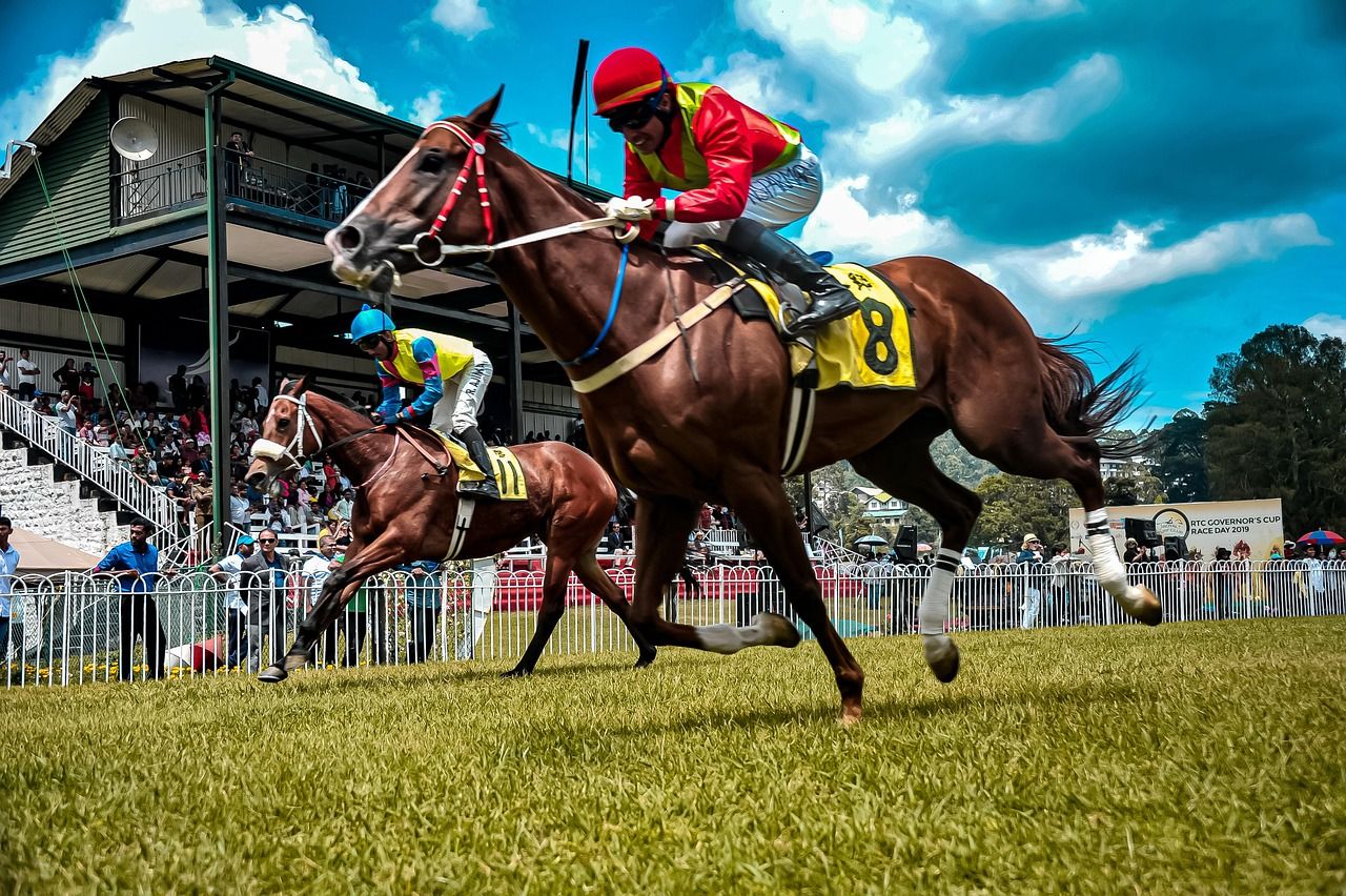Horse and jockey crossing the finish line at a racecourse