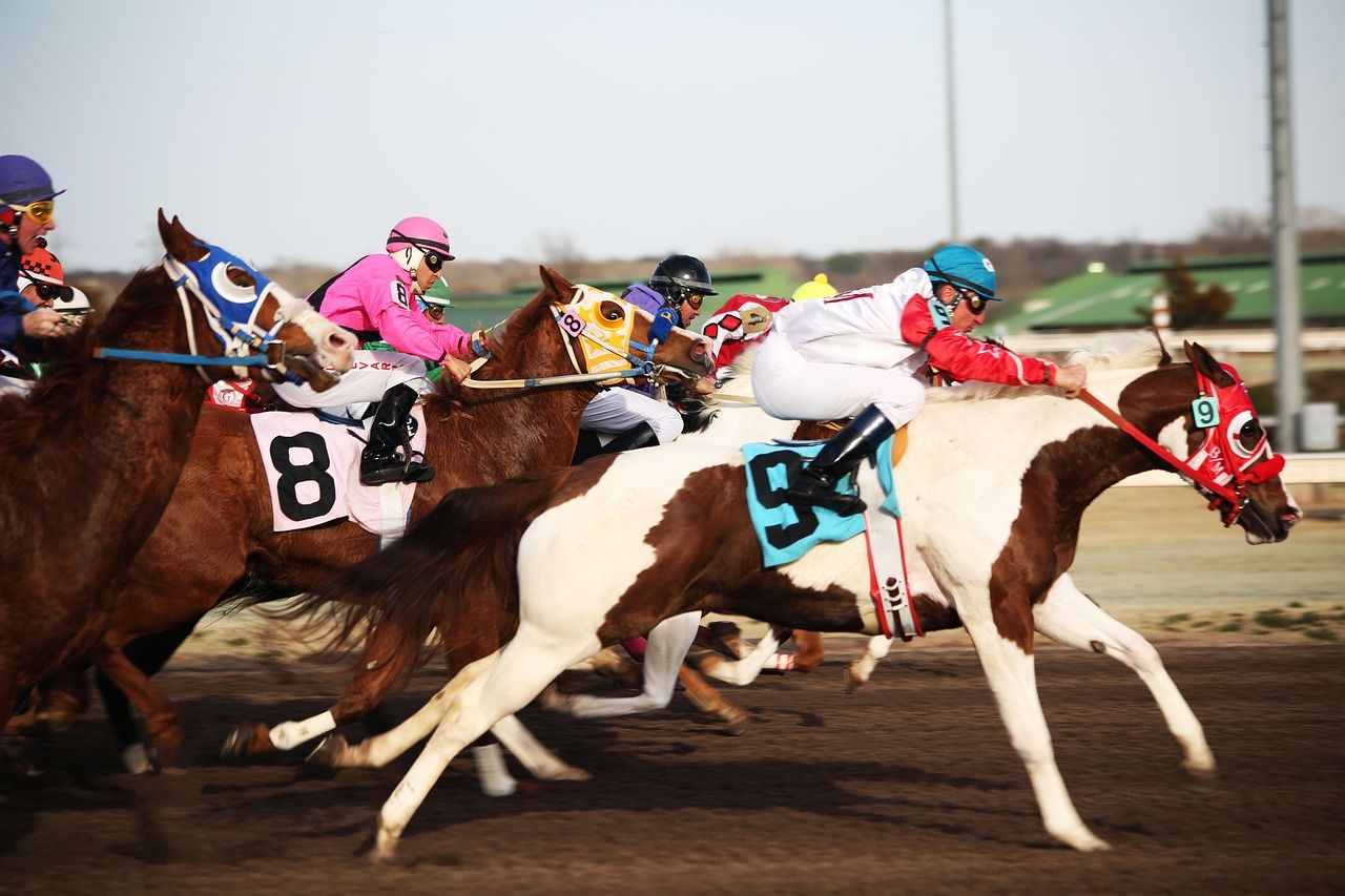 A thoroughbred racehorse in full stride