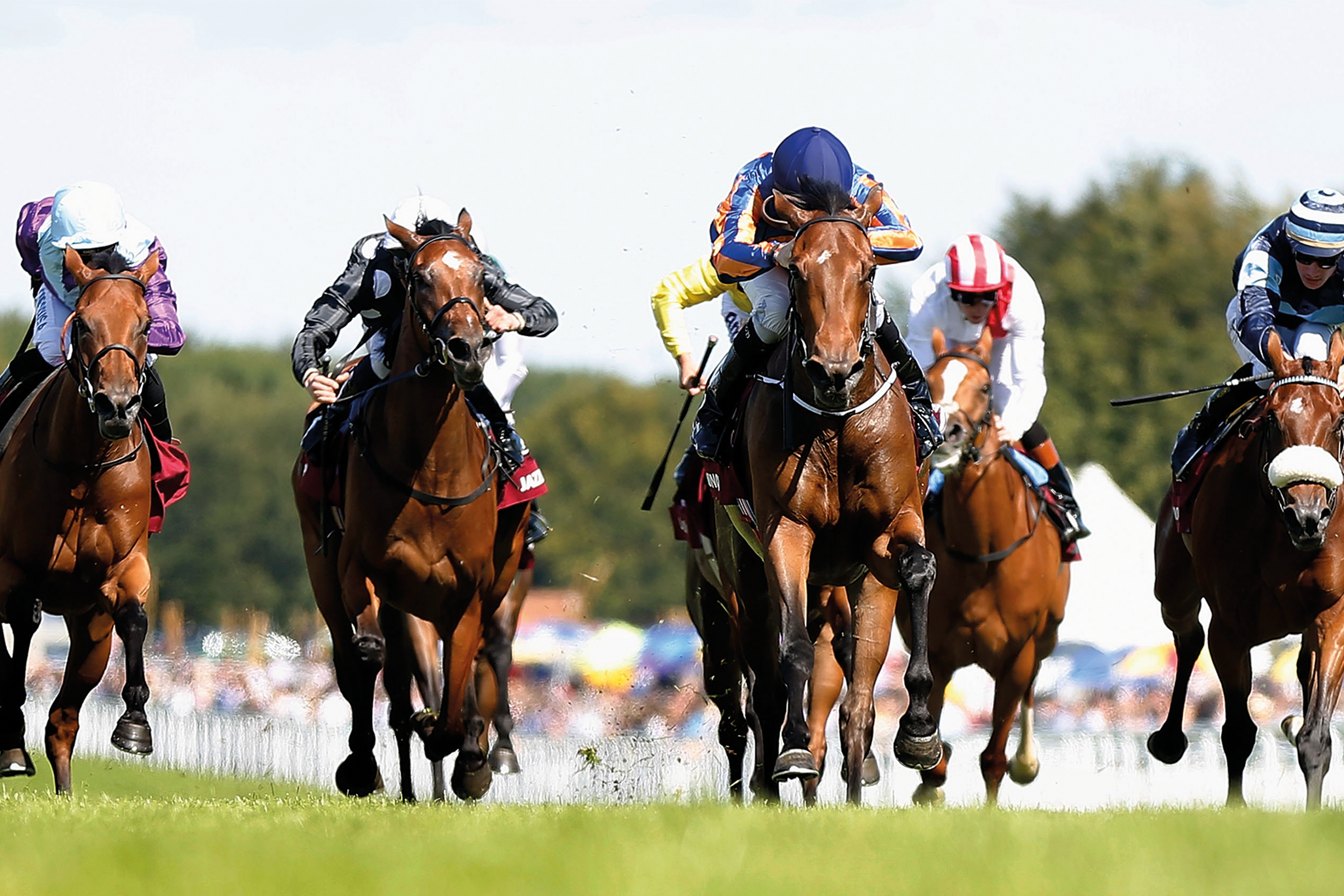 Autumn Racing Weekend and Beer Festival