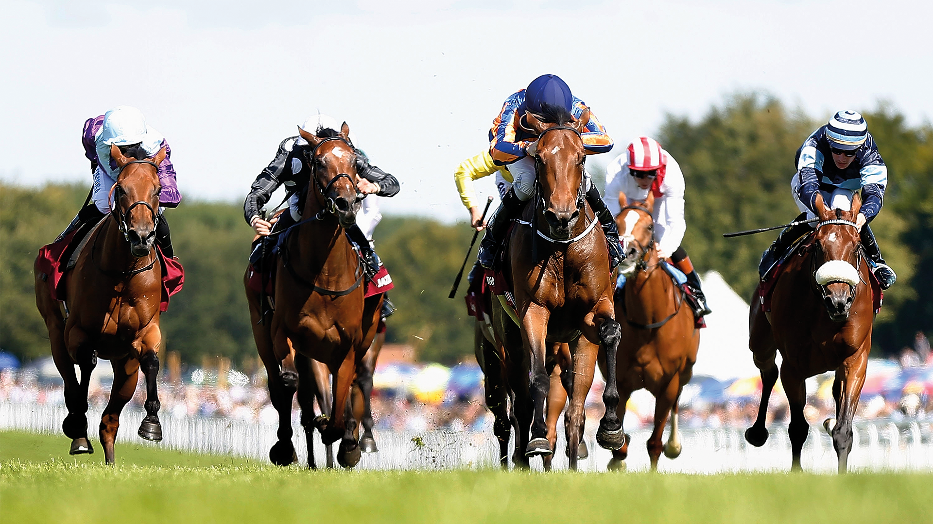 Two days at Ascot's autumn meeting