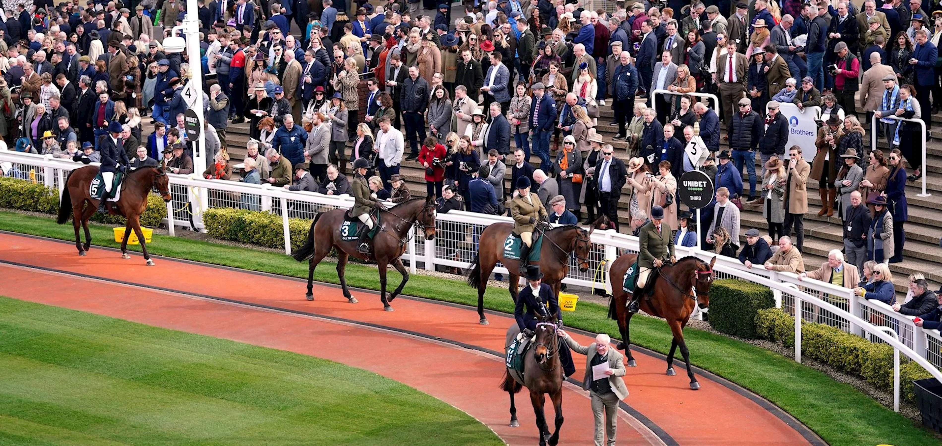 Cheltenham Racecourse parade ring with hospitality stands and grandstand behind