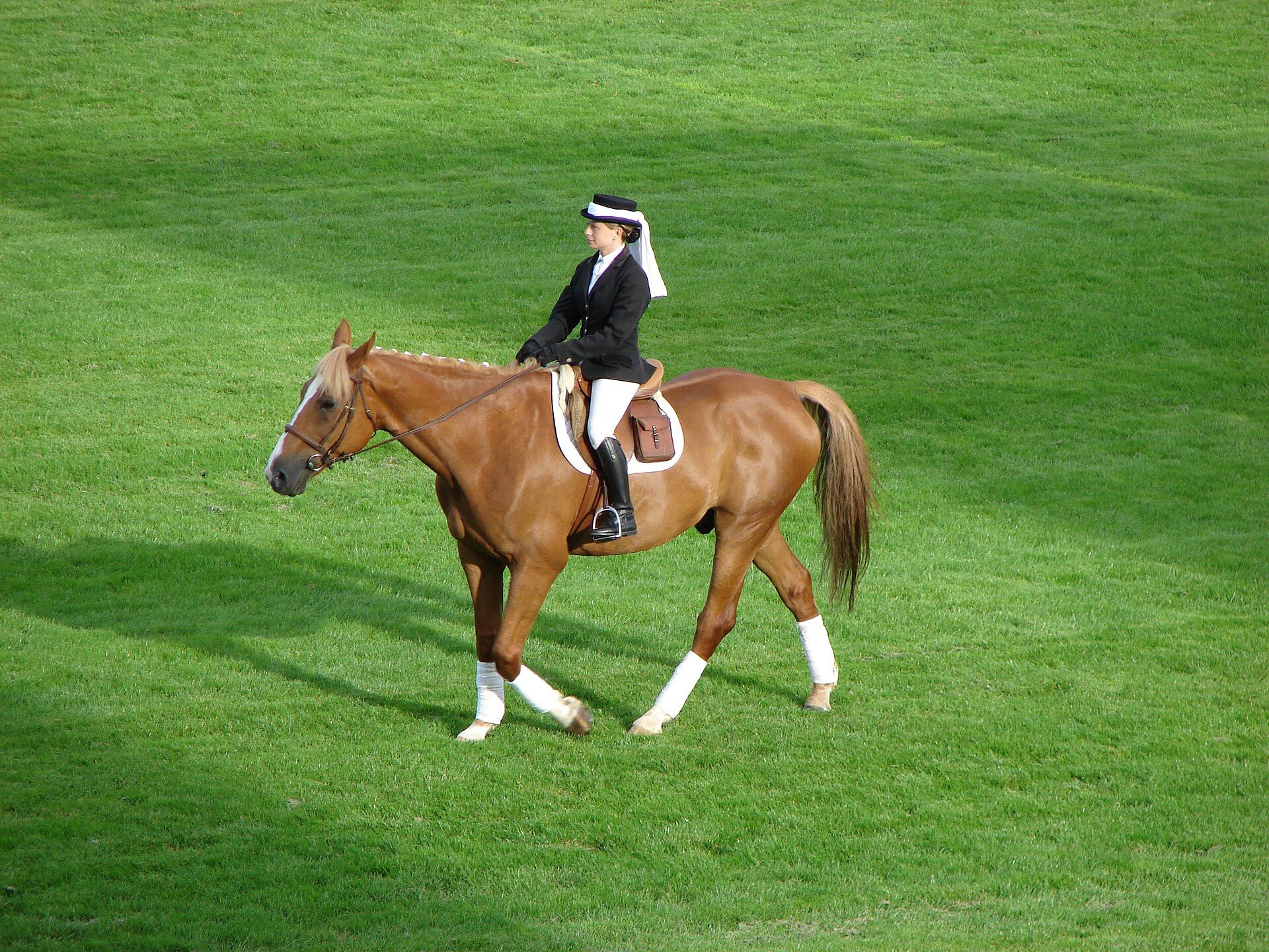 Europe's richest flat race