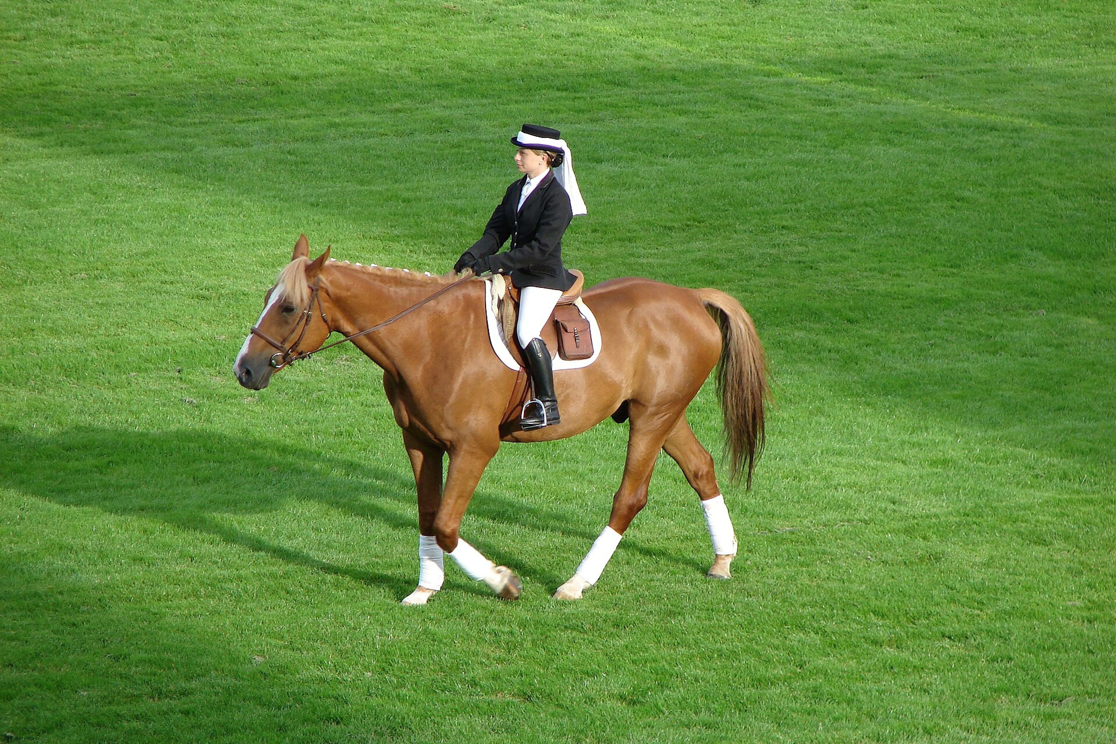 Europe's richest flat race