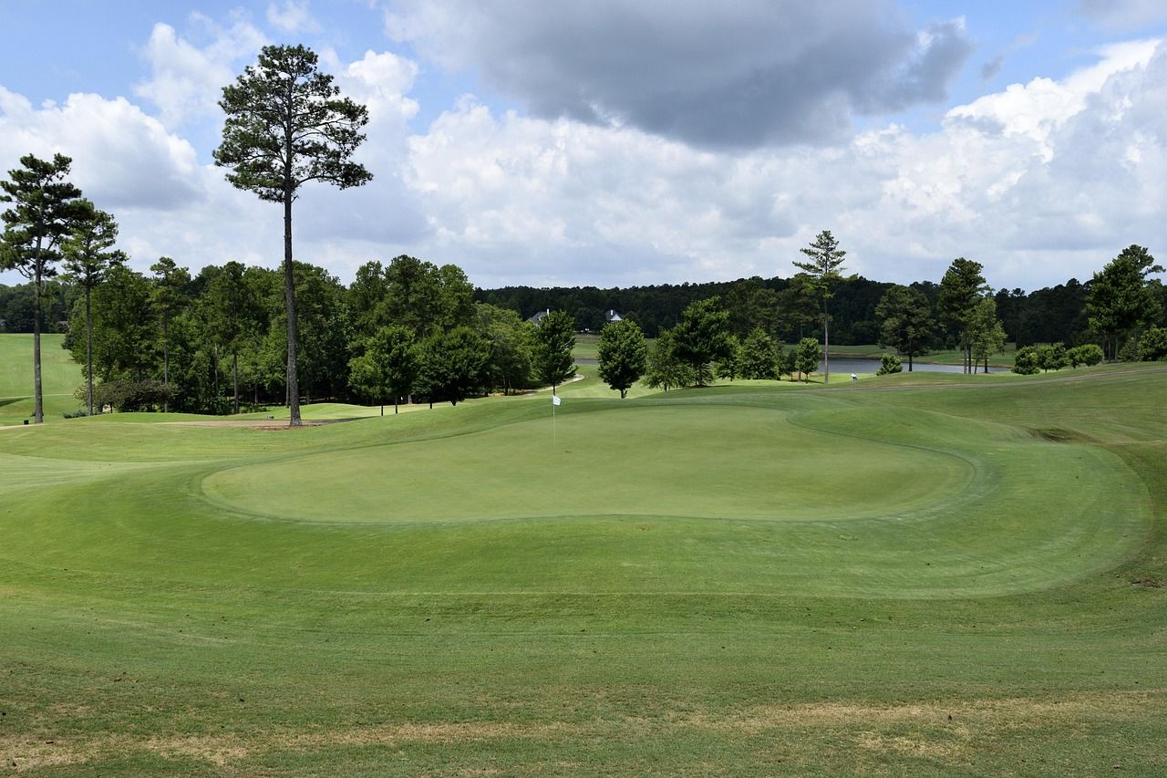Golf course with dramatic sky and tree-lined fairway