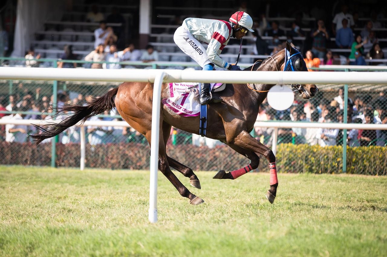 Close-up of a racehorse and jockey in full stride