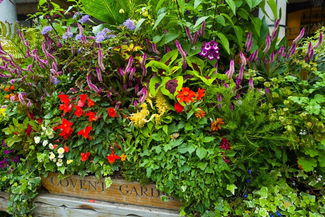 A wooden box filled with colourful flower arrangements