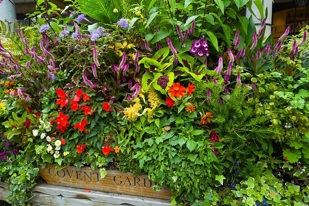 A wooden box filled with colourful flower arrangements